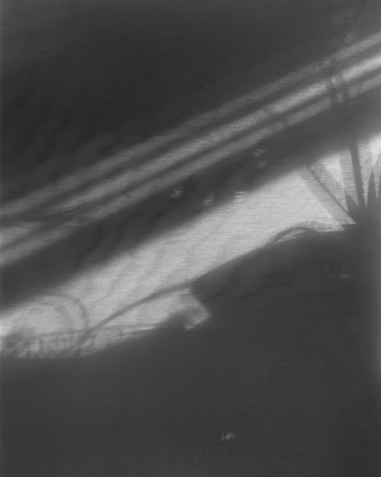 Presence-(4).jpg