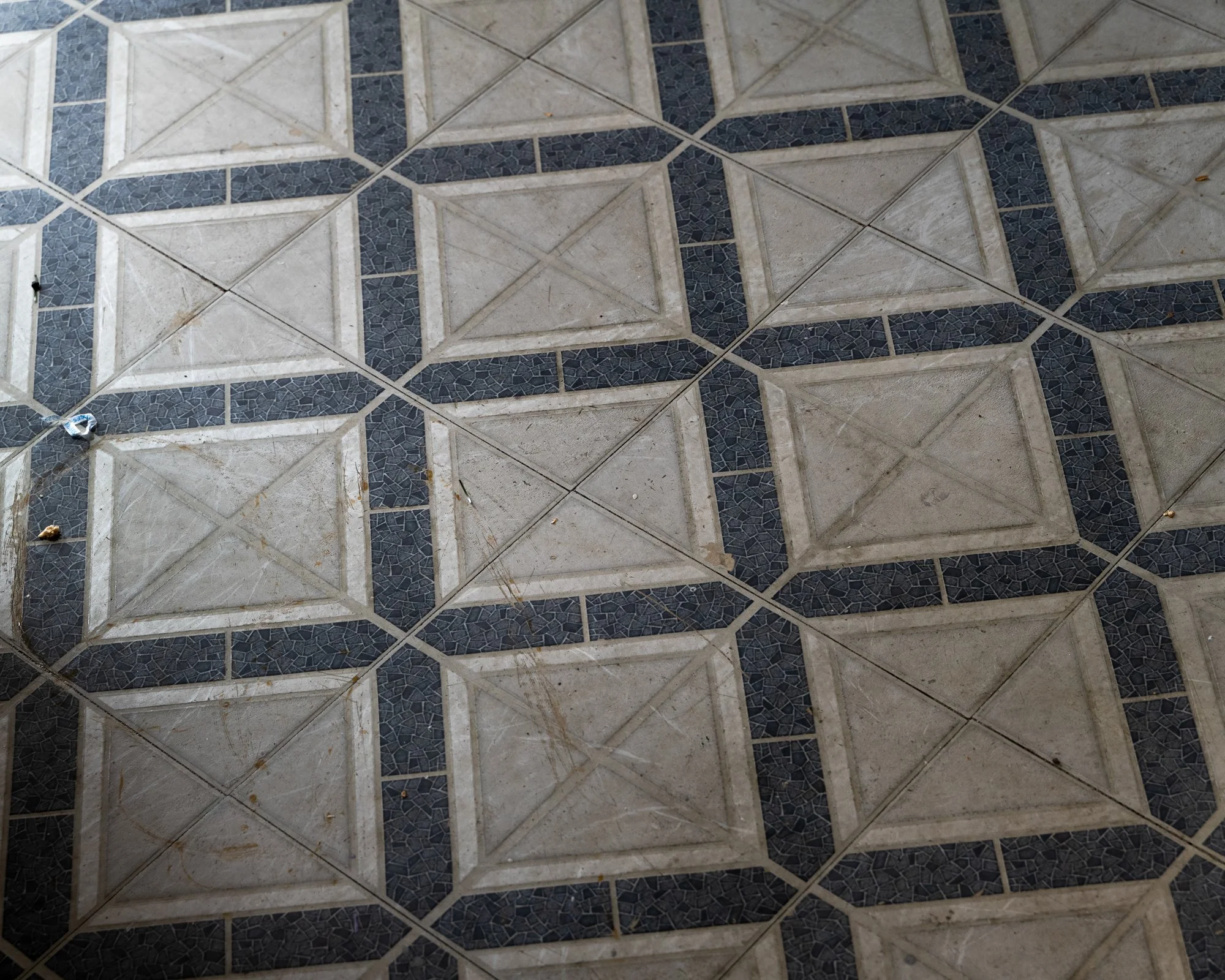_DSC5500.jpg