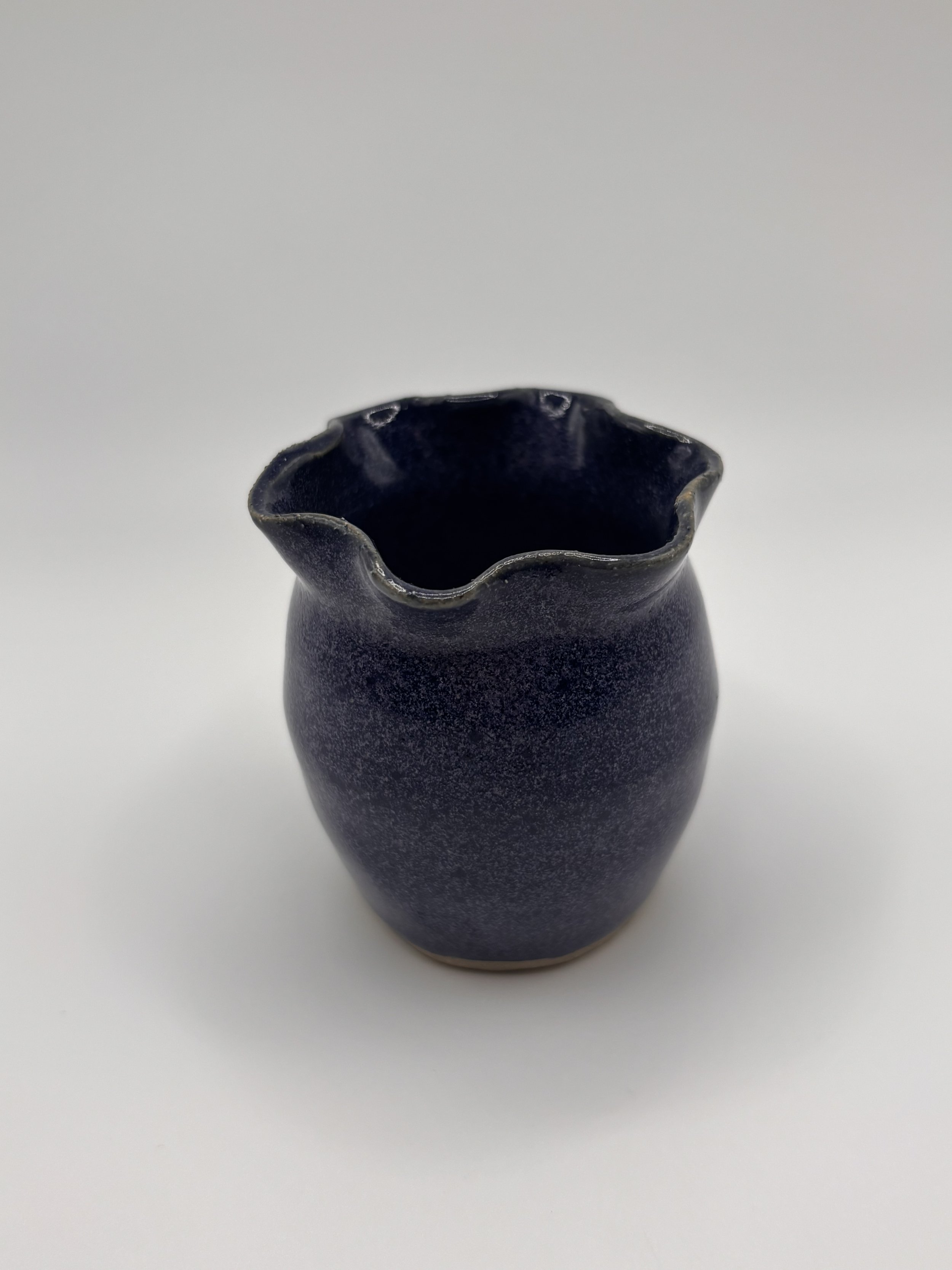Little Blueberry Pots