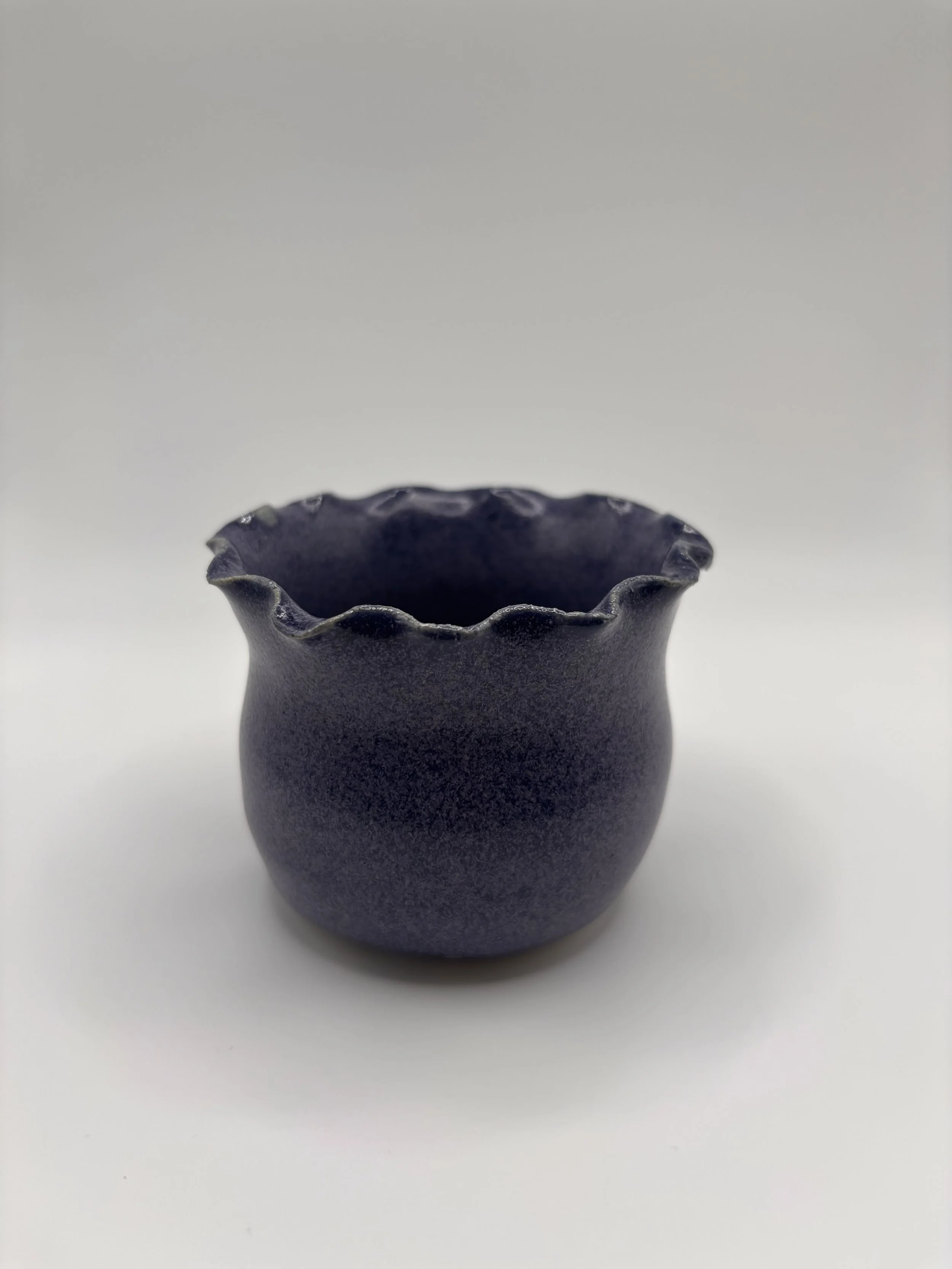 Blueberry Pots