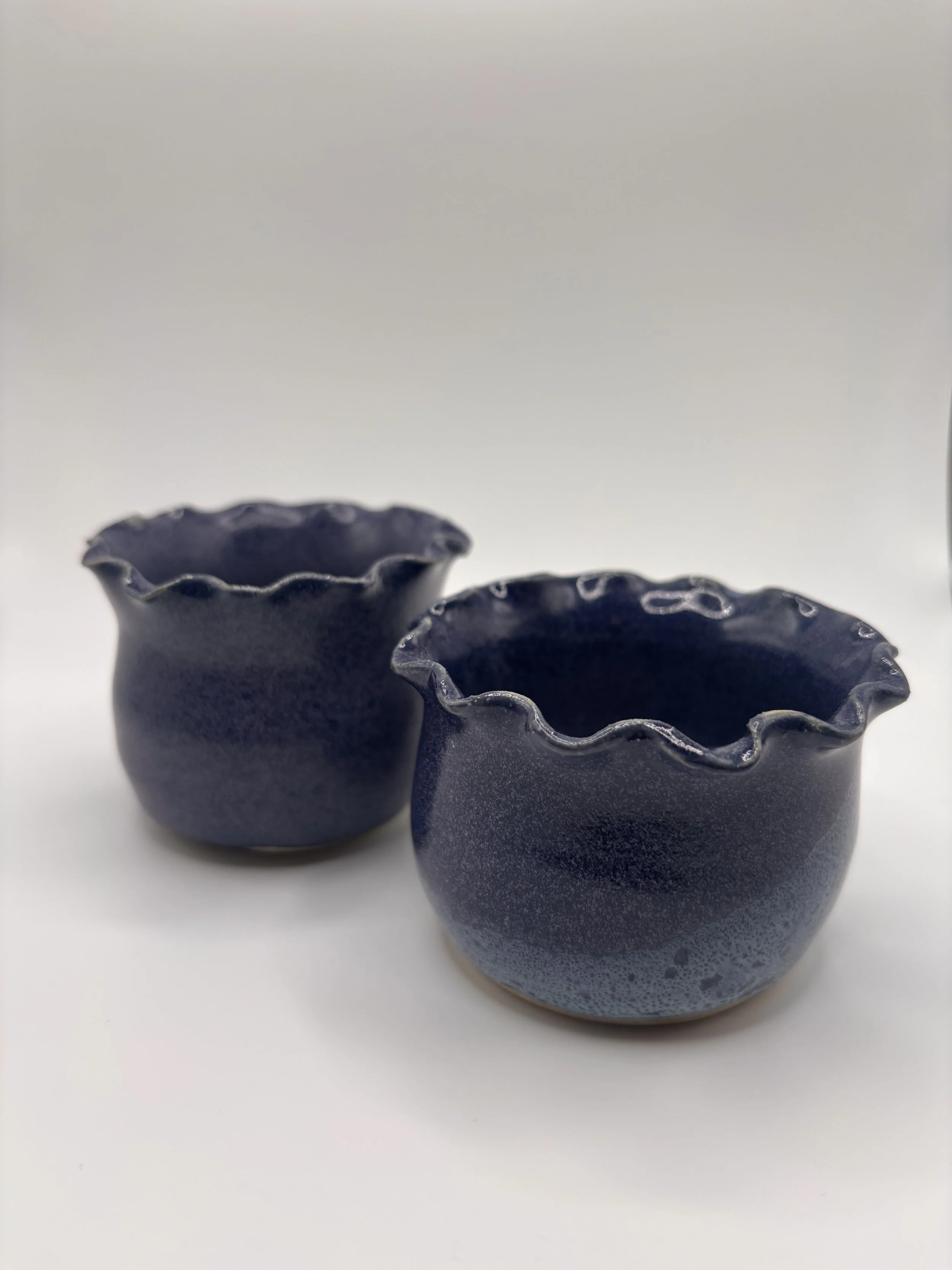 Blueberry Pots