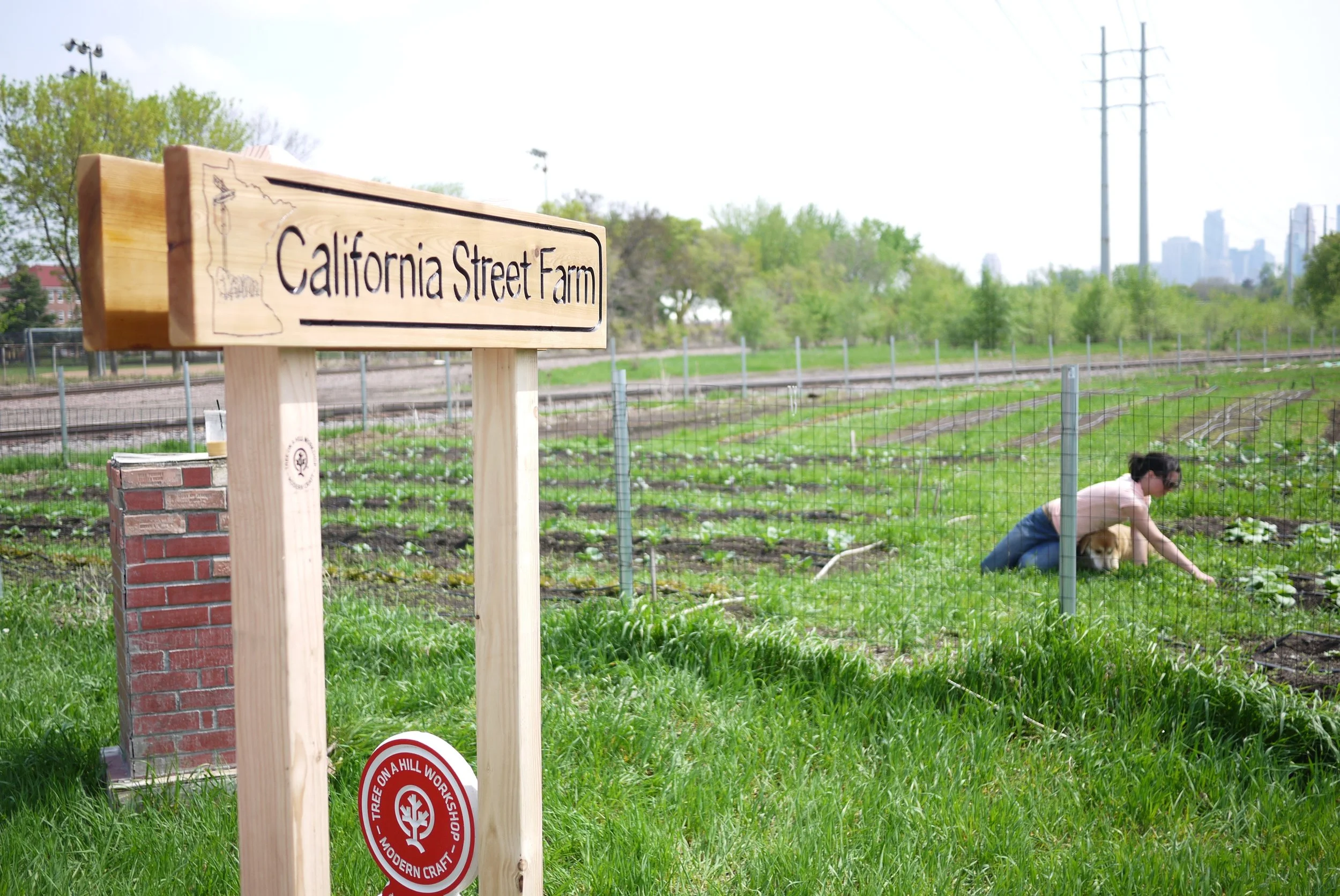 ca street farm - at farm 037.jpg