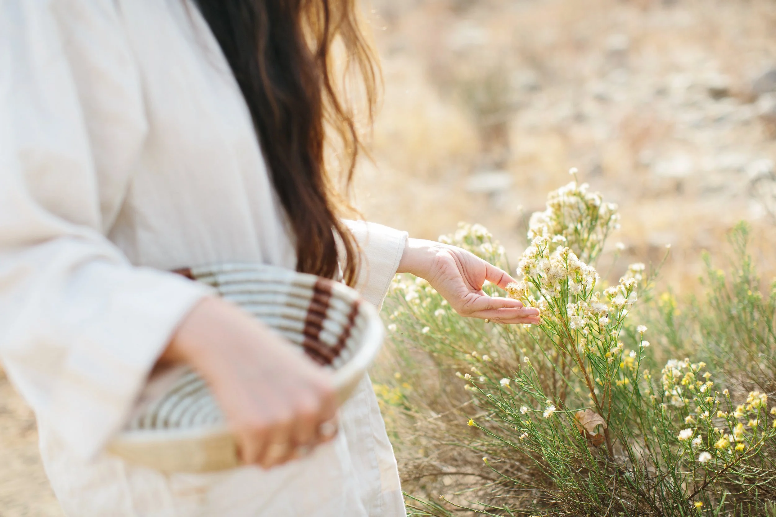 The Living Prayer Mentorship