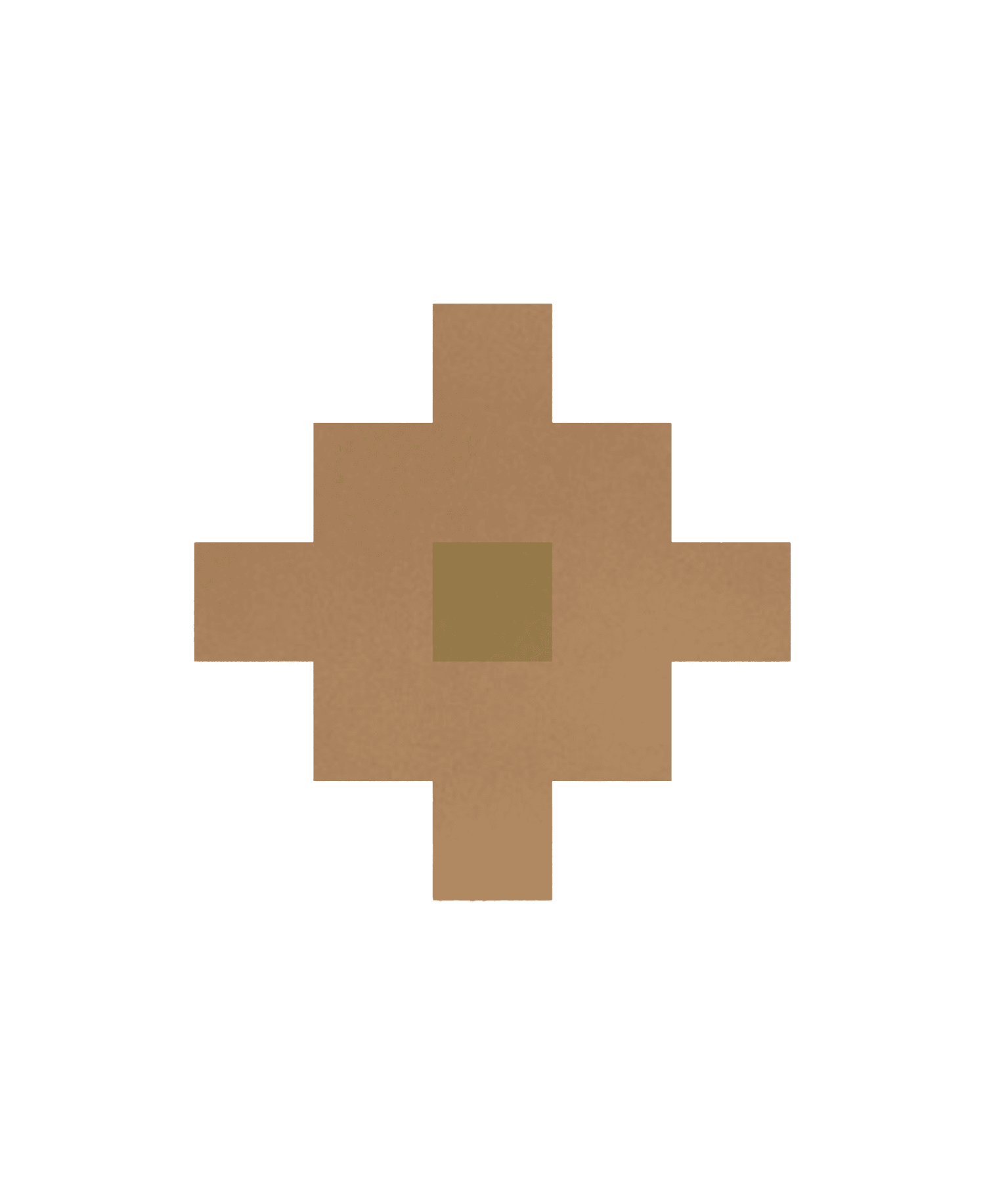 camino corazón