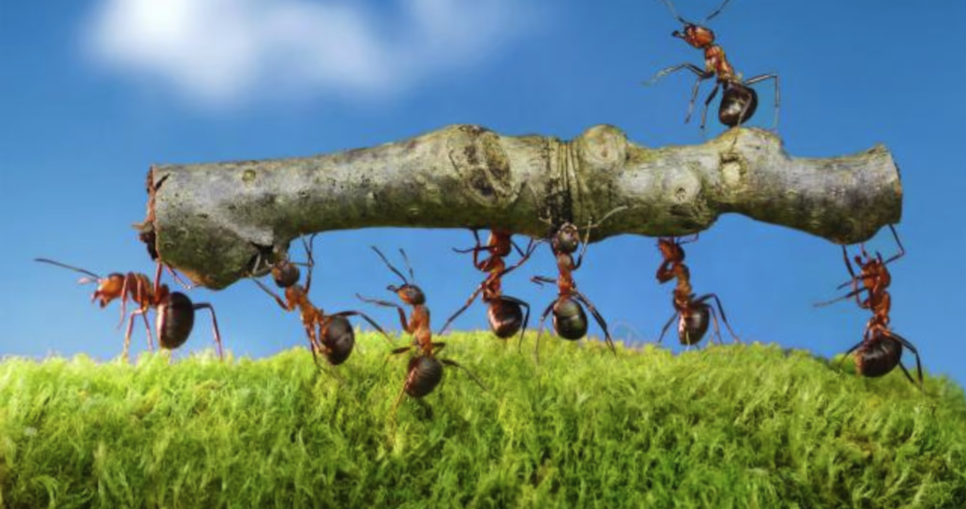 How Many People Does It Take To Run An Account? Not Nearly As Many As Clients Think