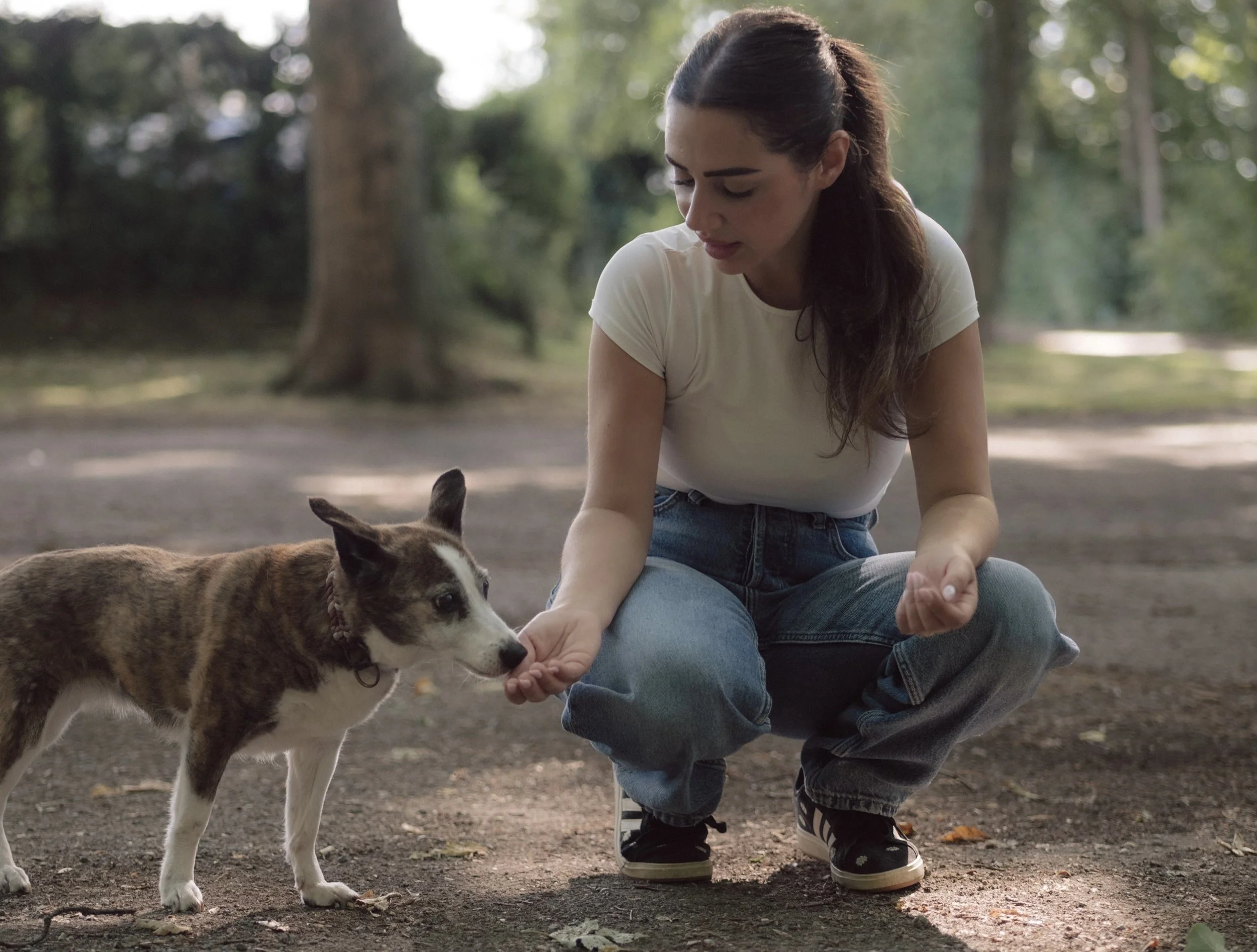 Hundetrainerin Natascha hockt auf einem Waldweg und gibt einem braun-weißen Hund ein Leckerli aus der Hand