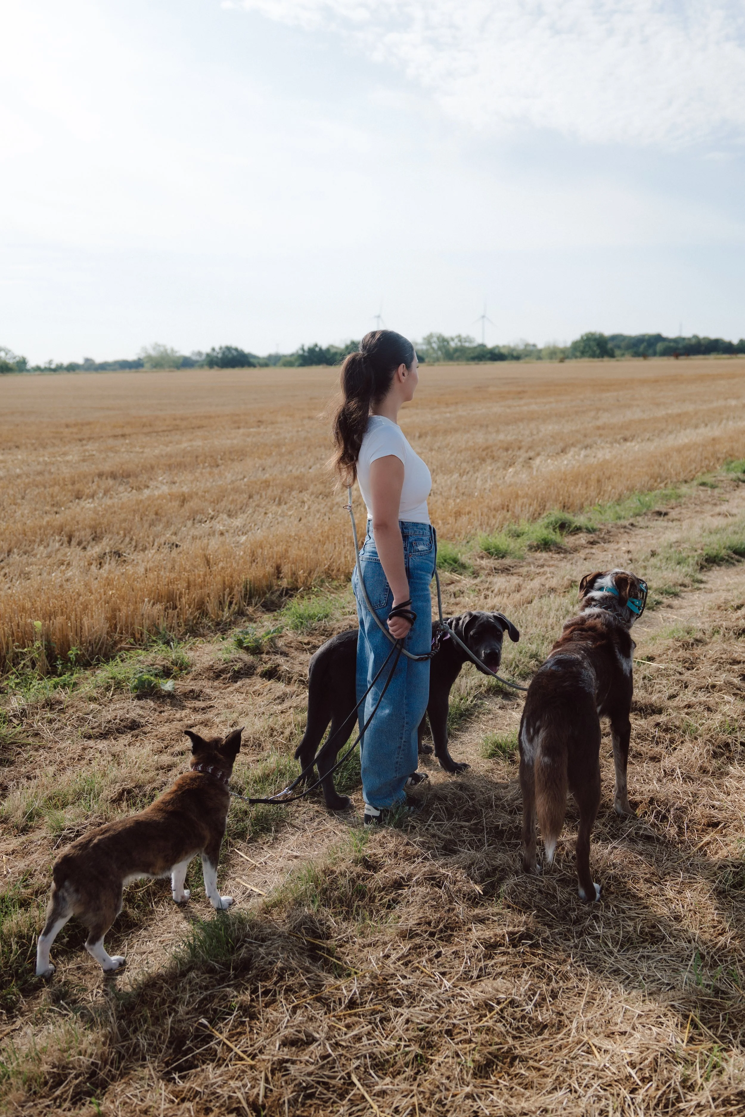 Hundetrainerin Natascha steht mit drei Hunden an der Leine auf einem Feld bei Soest und blickt in die Ferne