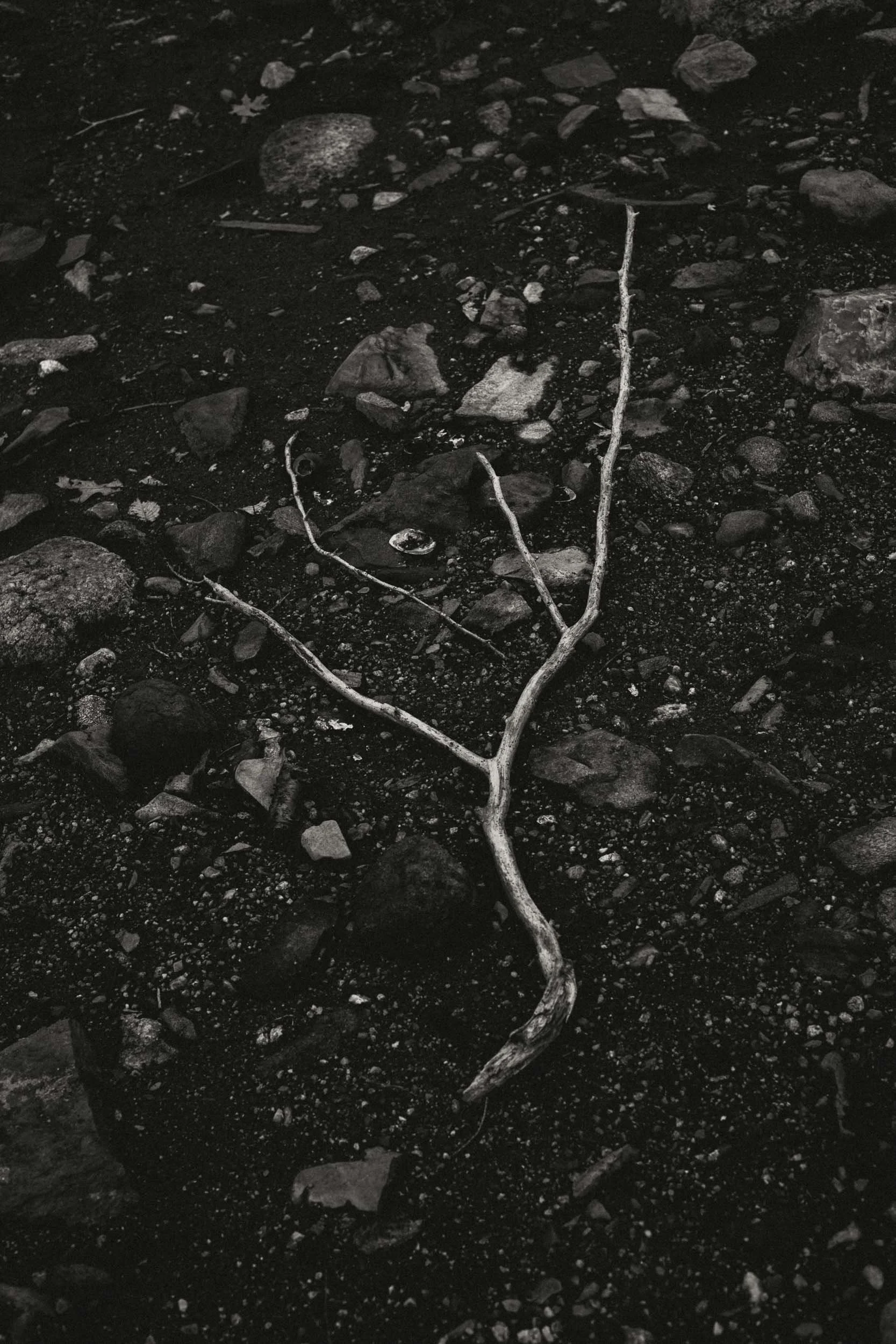 26-05-03 Winnikenni B&W-1096.jpg