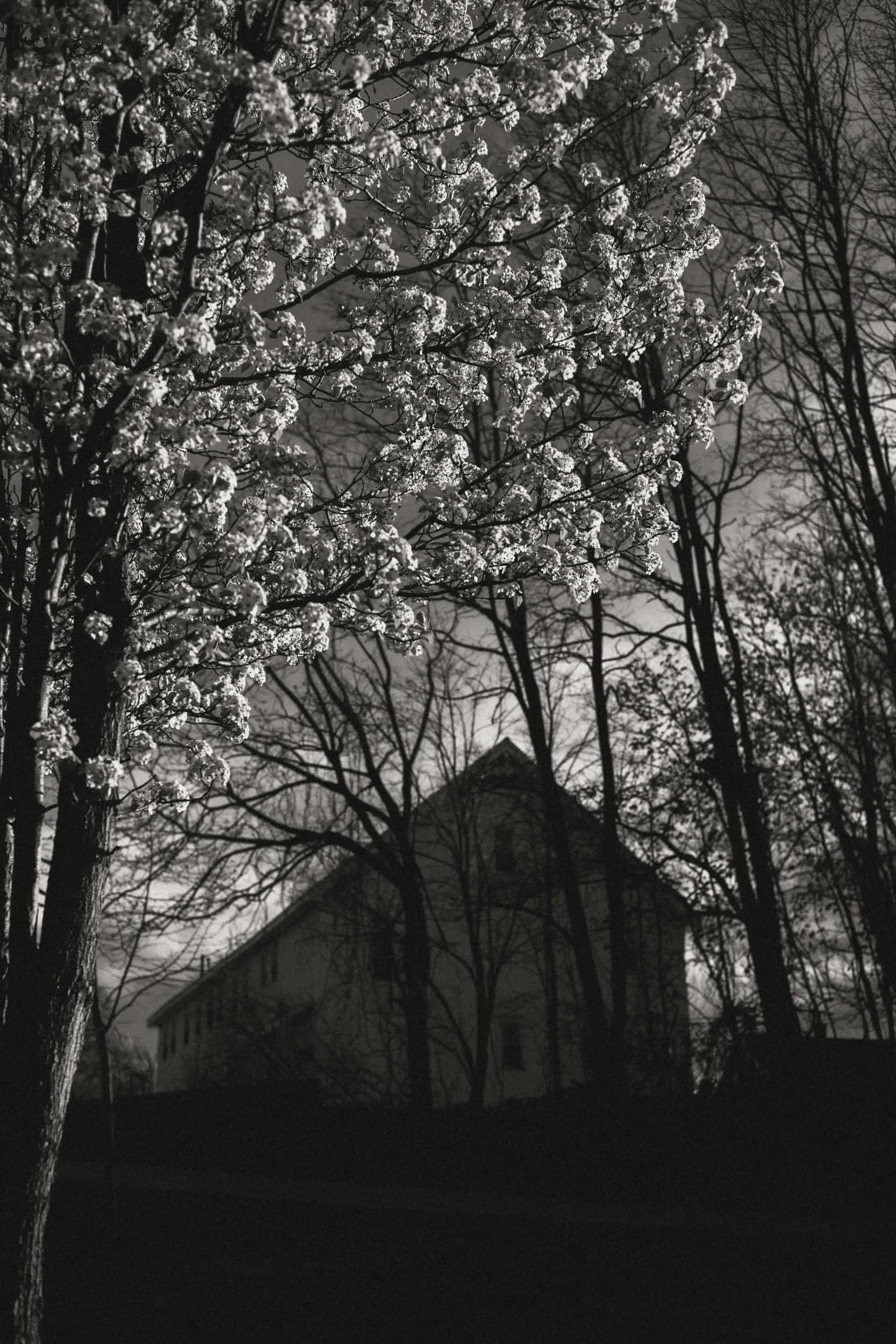 26-05-03 Winnikenni B&W-1128.jpg