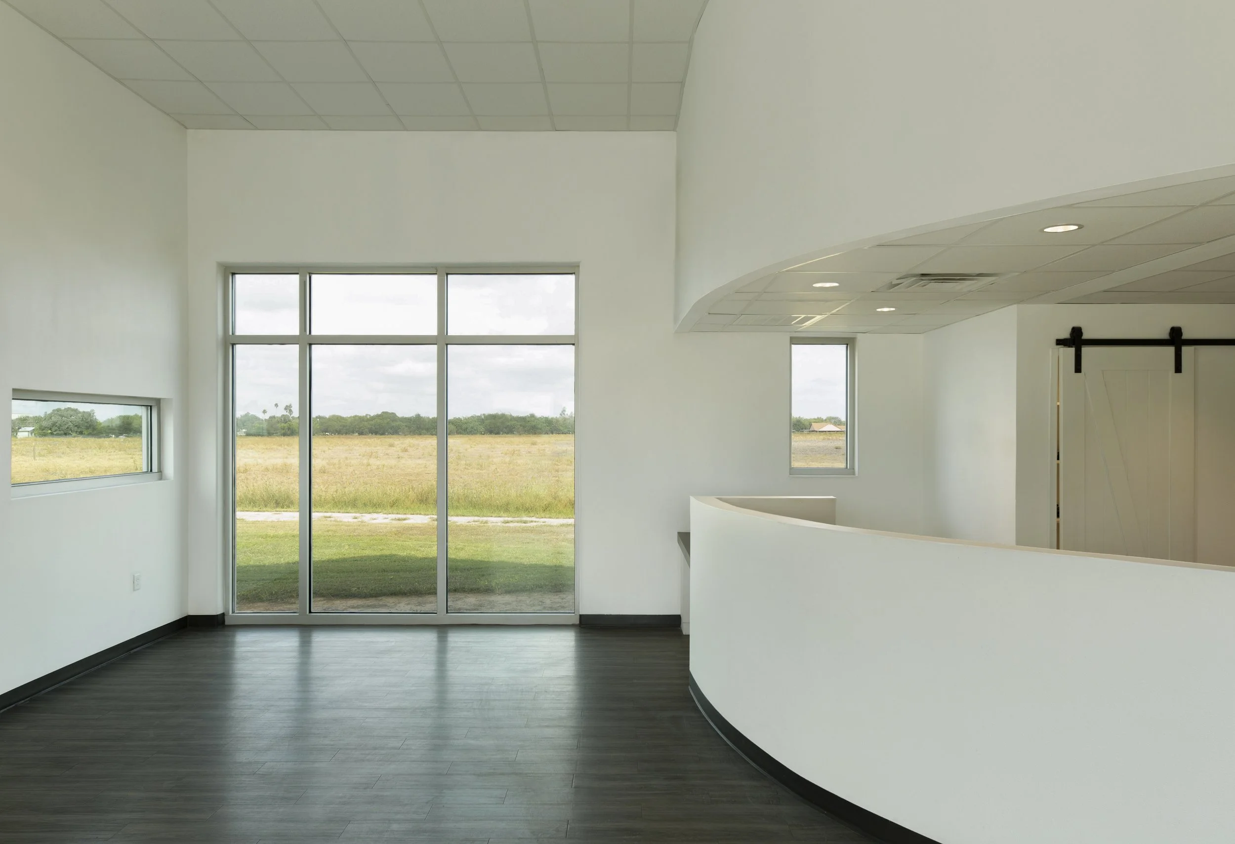 Megamorphosis_LyfordClinic_22.jpg