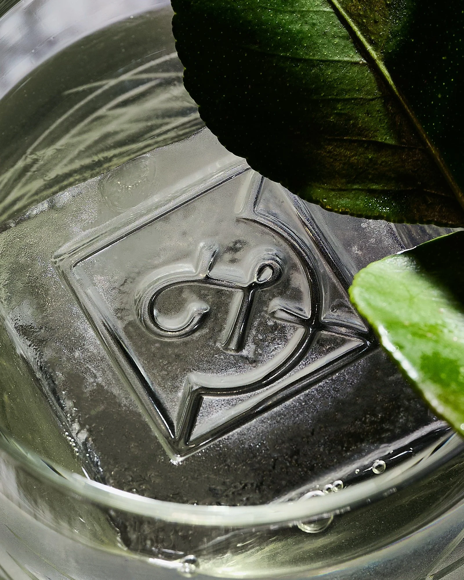 Close-up of an ice-cold beverage in a glass with a green plant leaf partially covering the top of the glass.