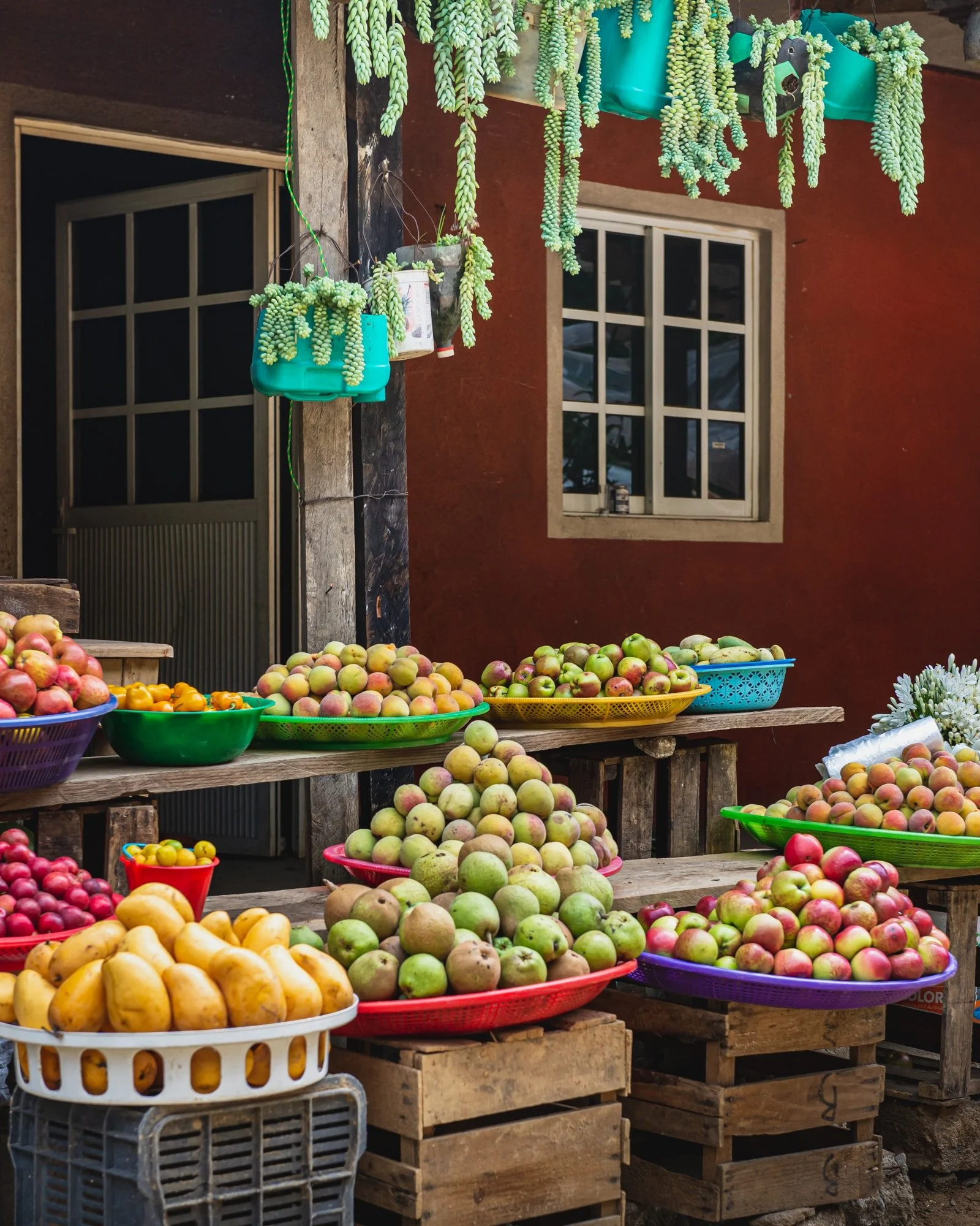 An outdoor market stall selling various types of apples and other fruits in colorful baskets, with hanging succulents above, a rustic building with a window in the background.