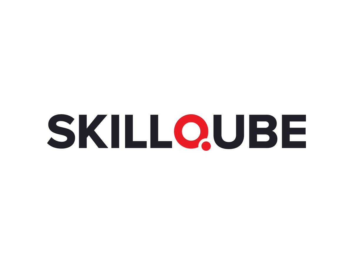 14-SkillQube.png