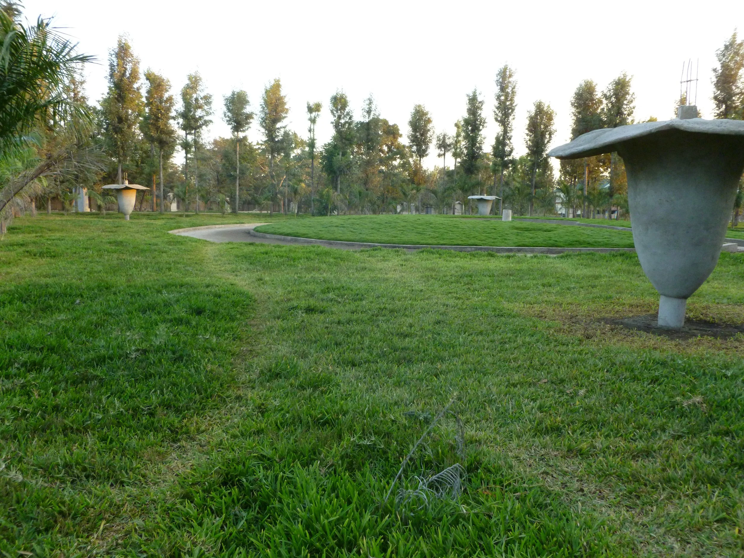 P1020507.JPG