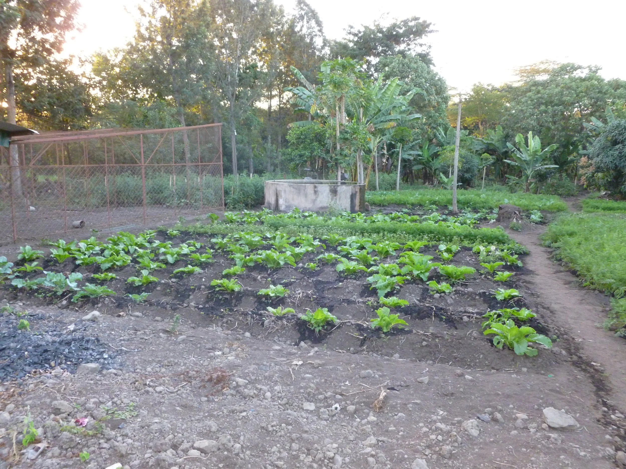 P1020501.JPG