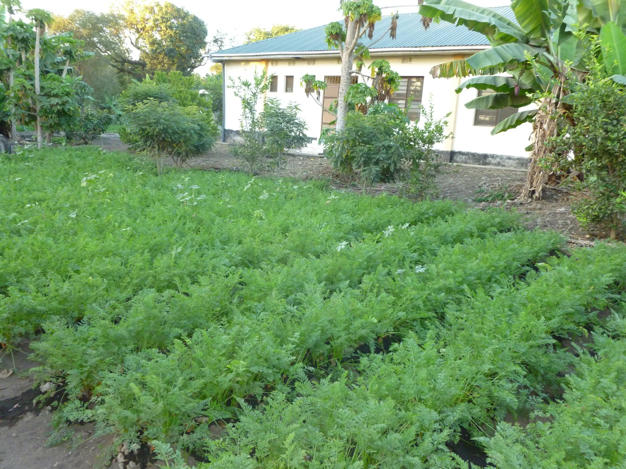 P1020500.JPG