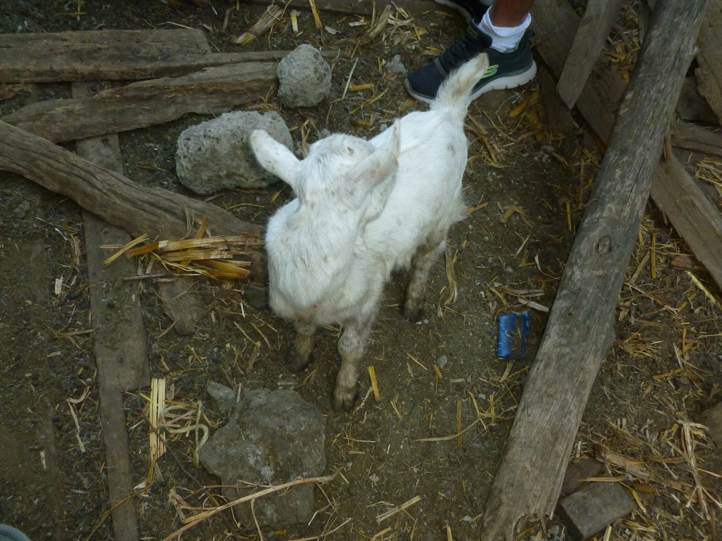 P1020490.JPG