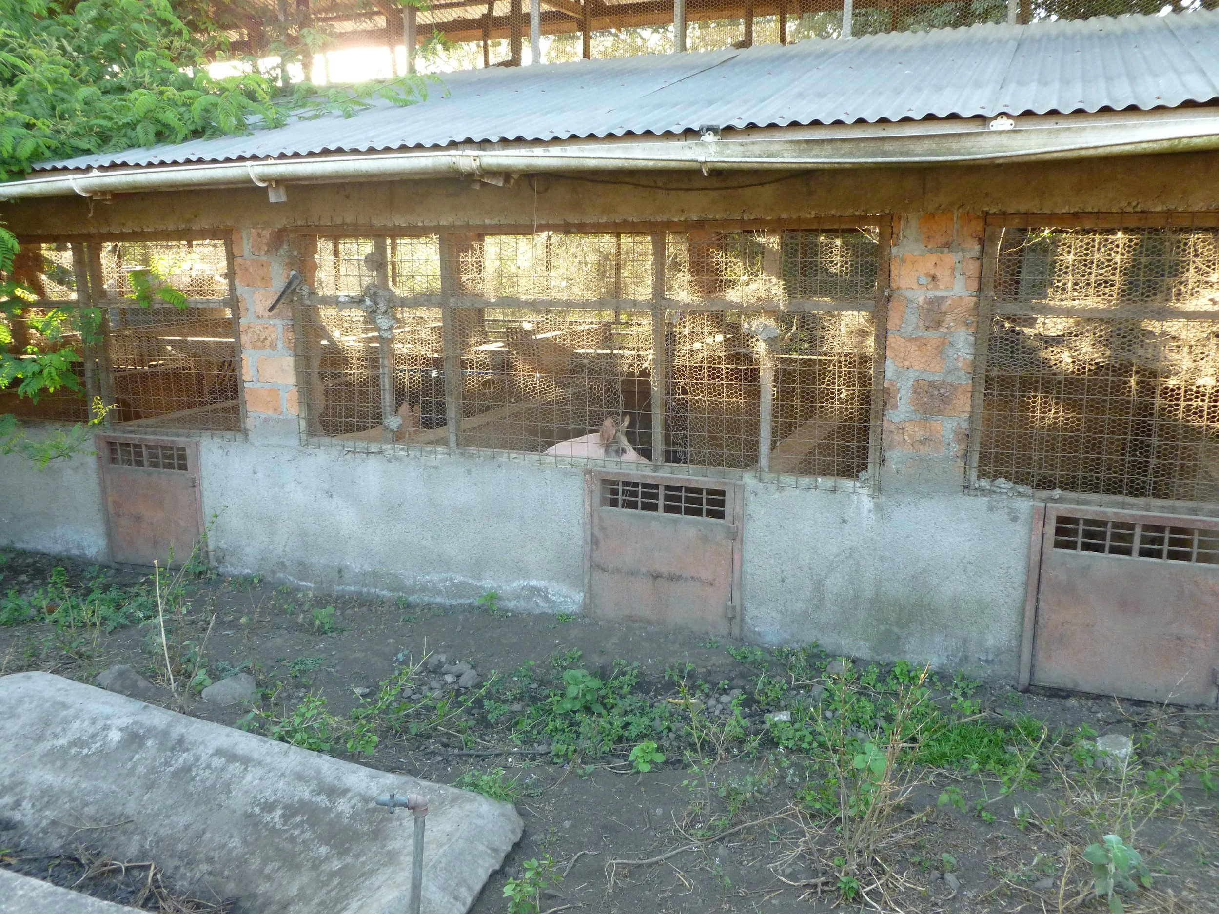 P1020491.JPG