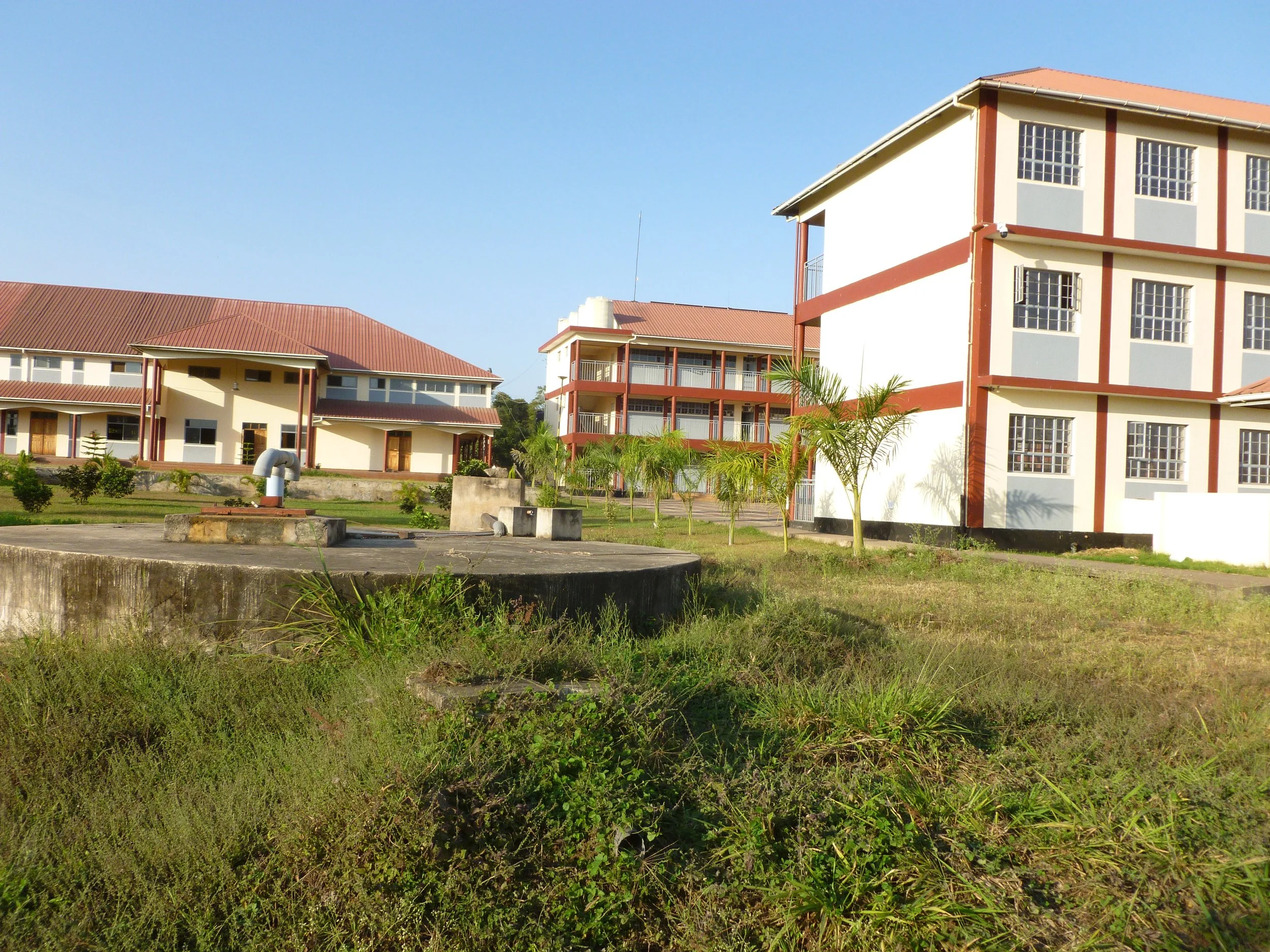 P1020542.JPG
