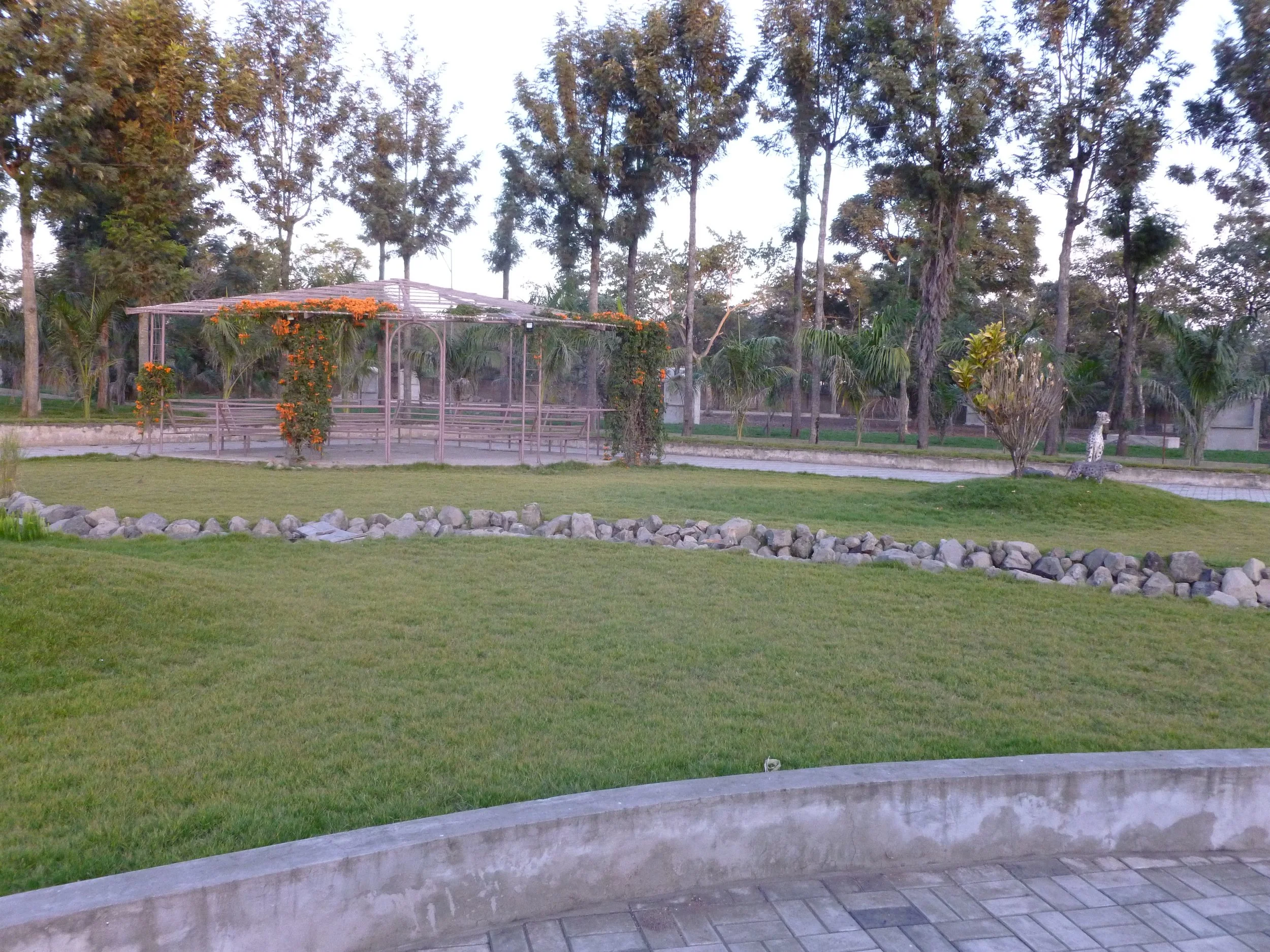 P1020512.JPG