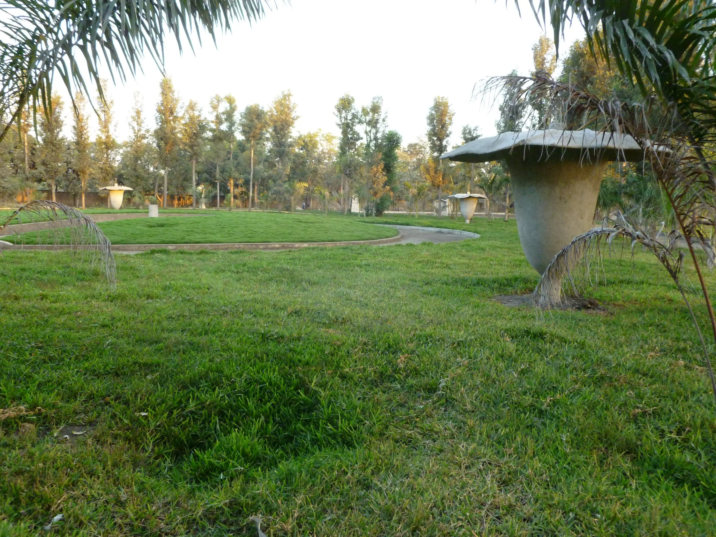 P1020505.JPG