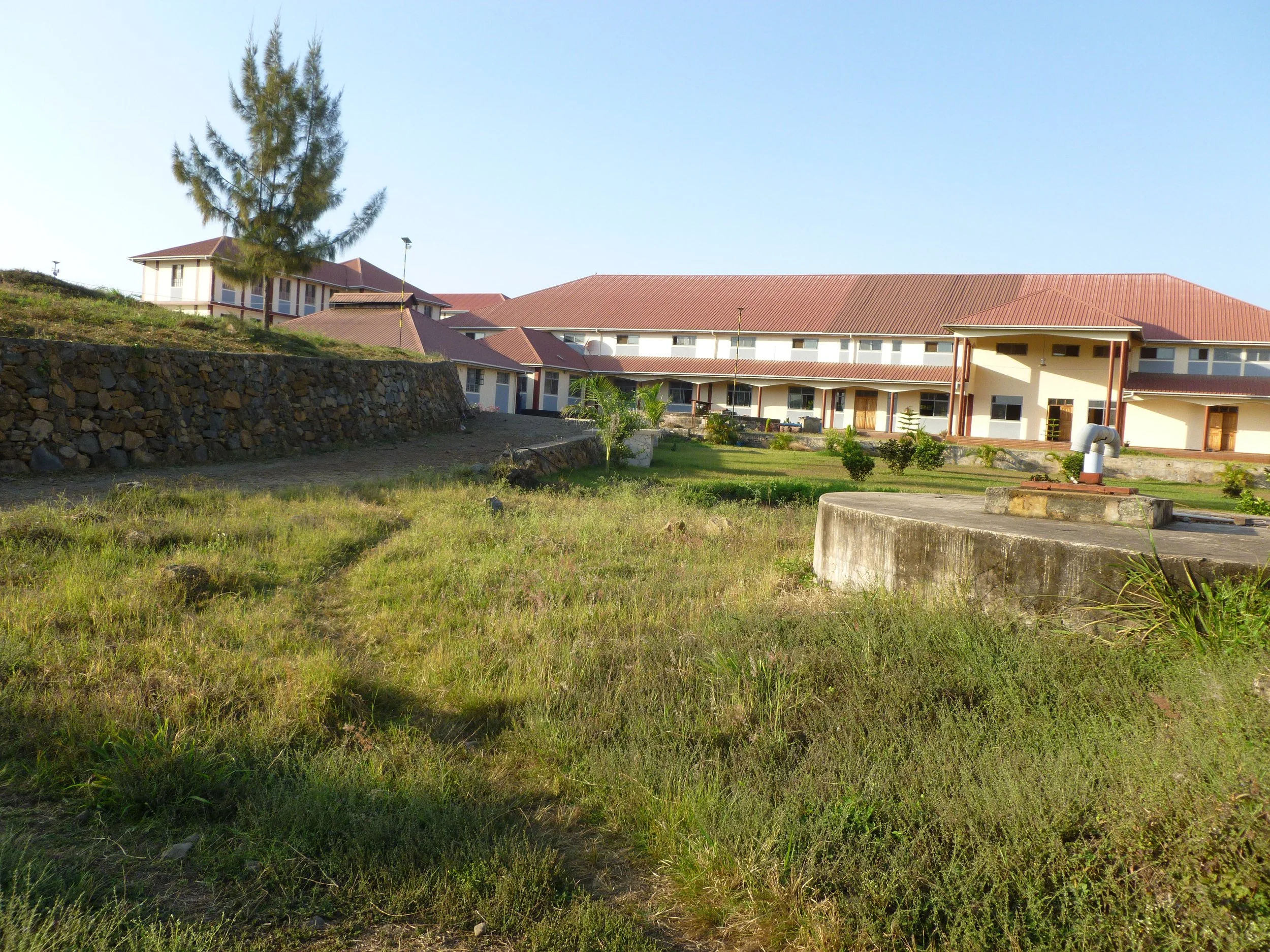 P1020543.JPG