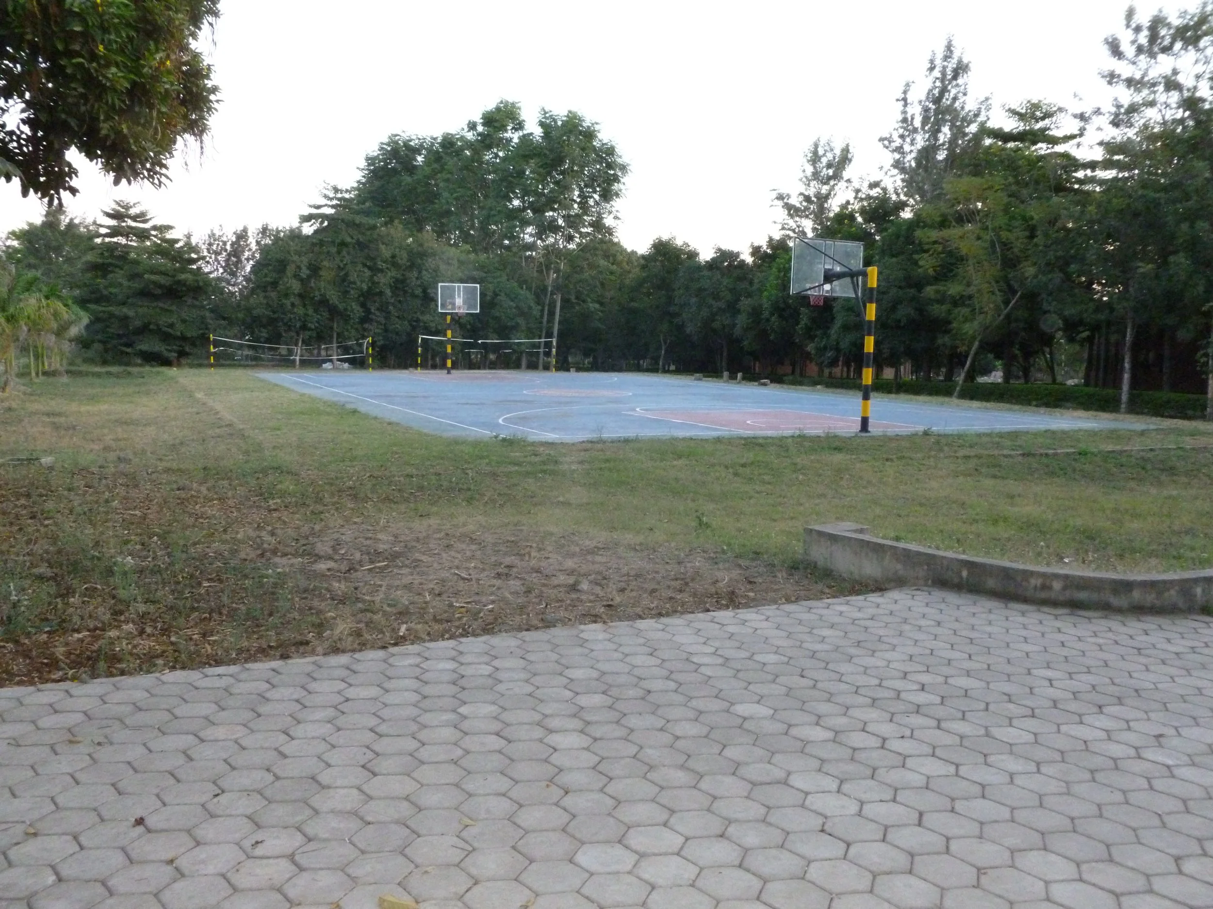 P1020521.JPG