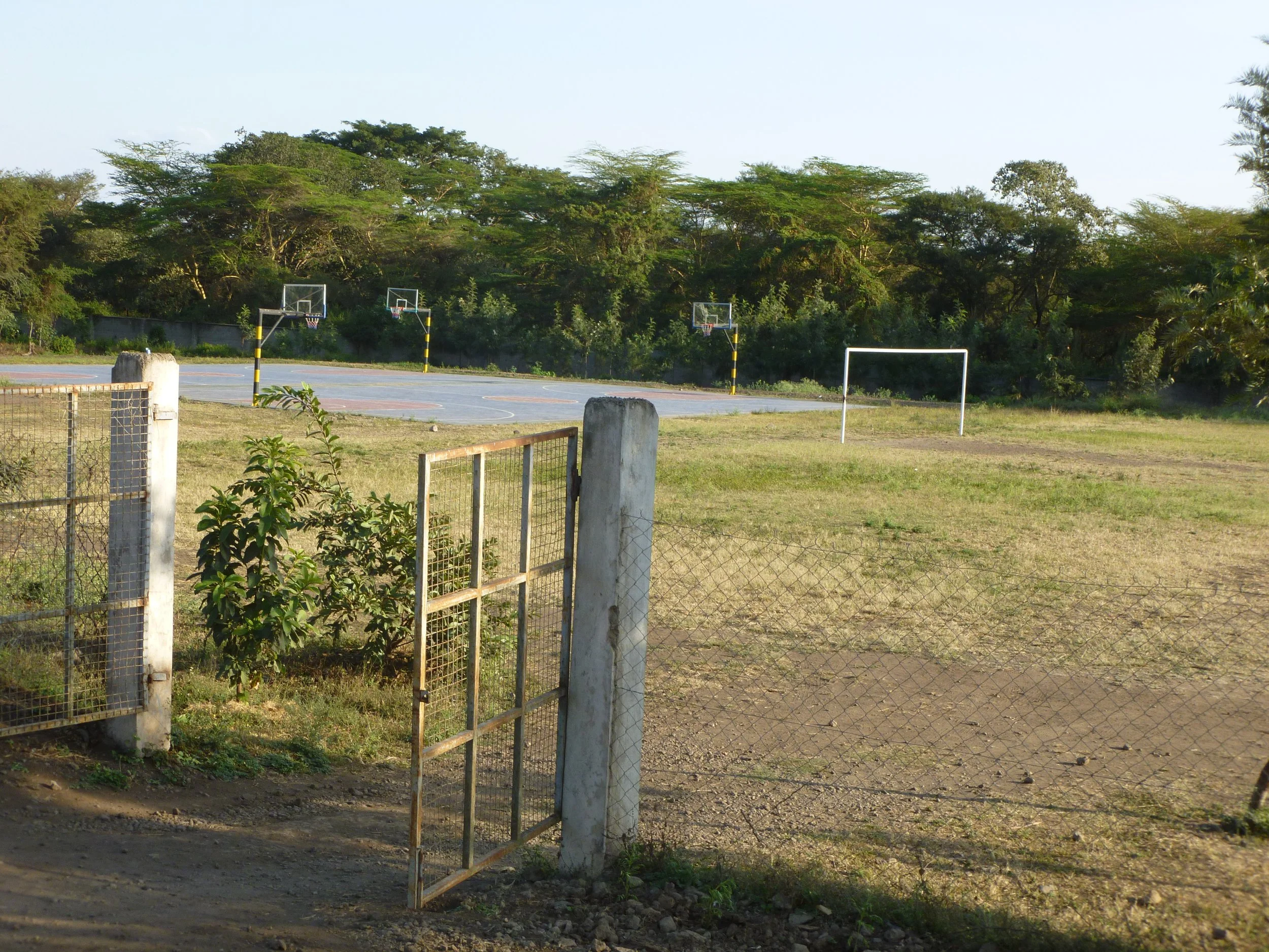 P1020540.JPG