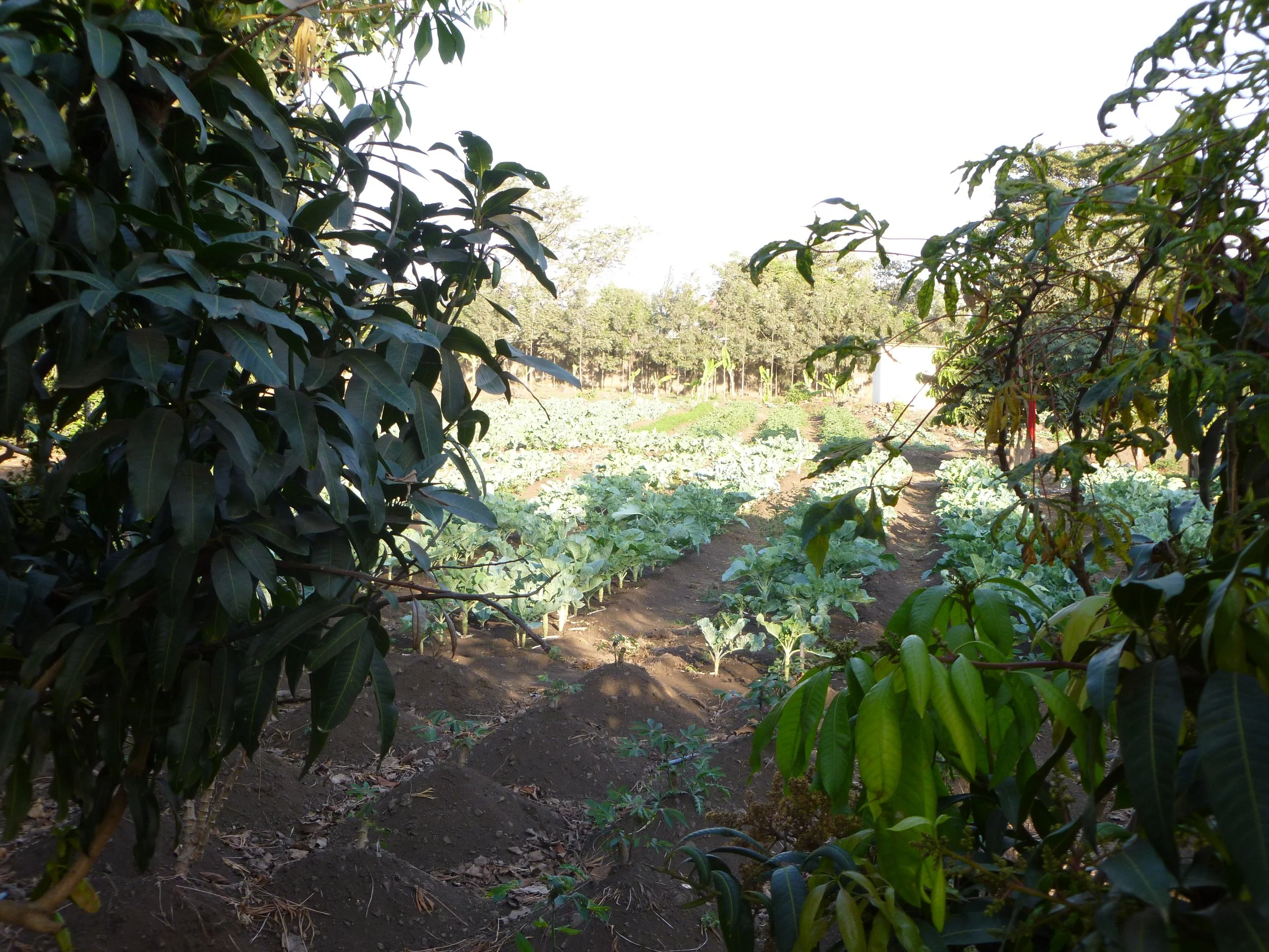 P1020539.JPG
