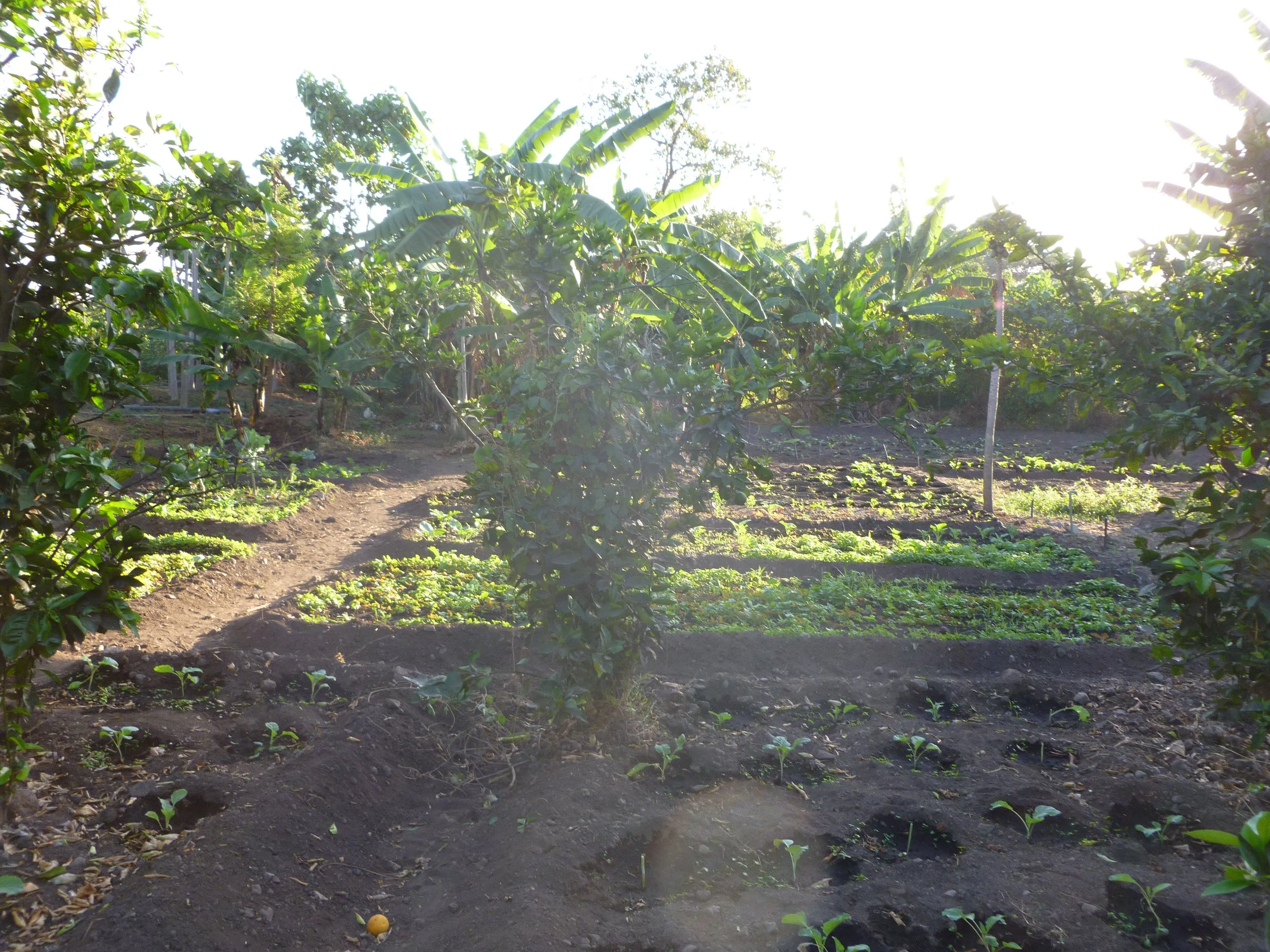 P1020494.JPG