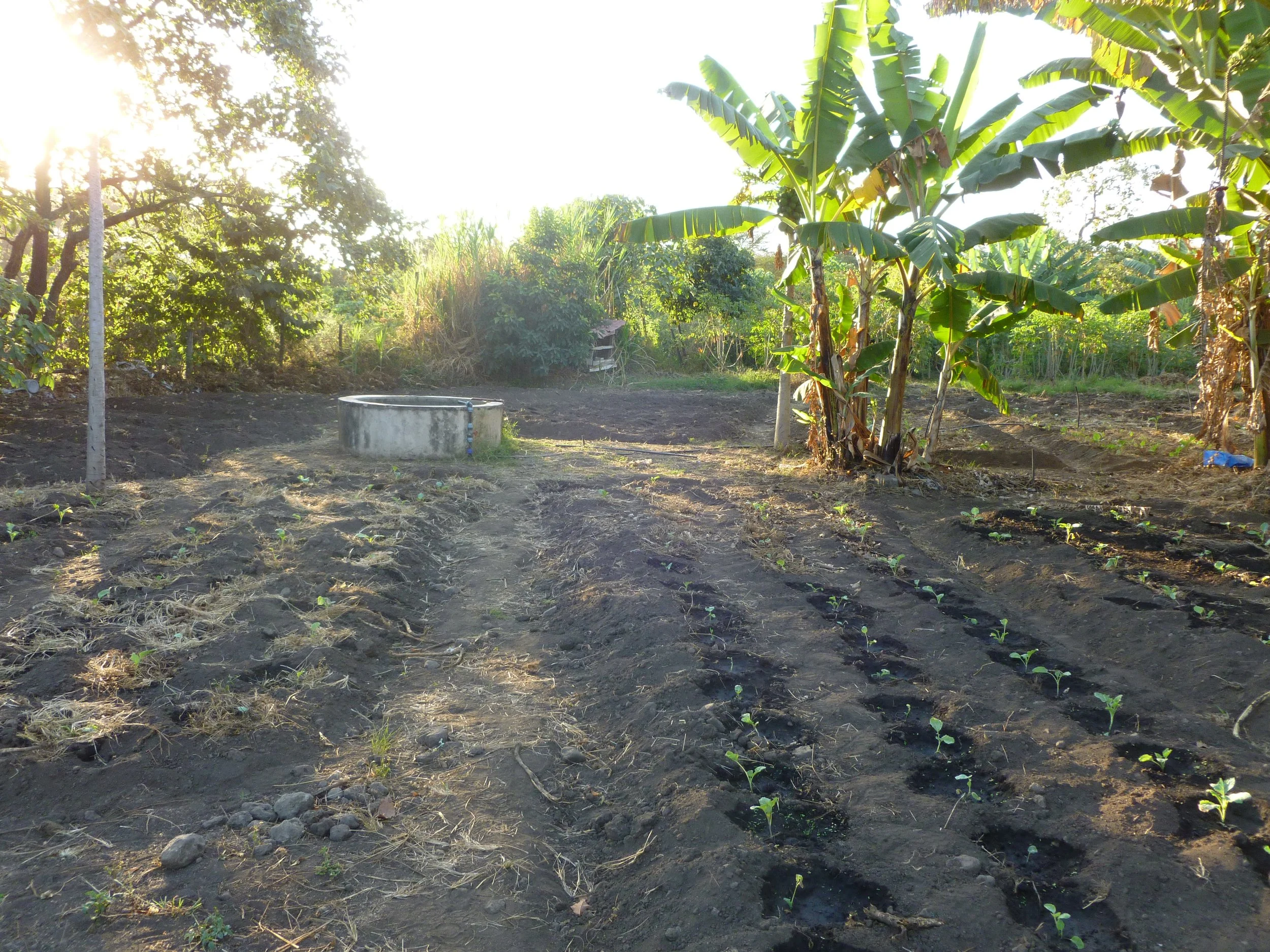 P1020495.JPG