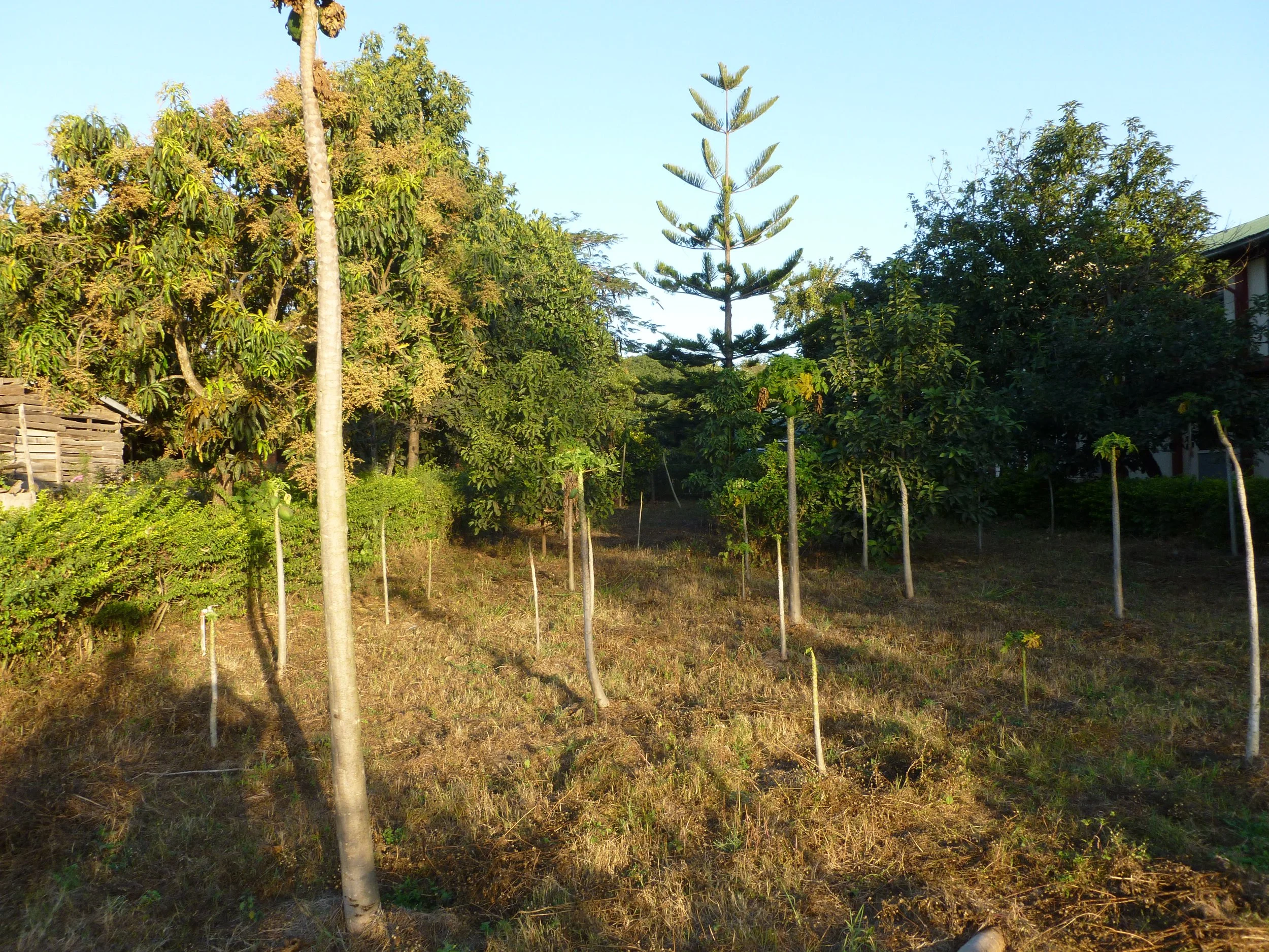 P1020497.JPG