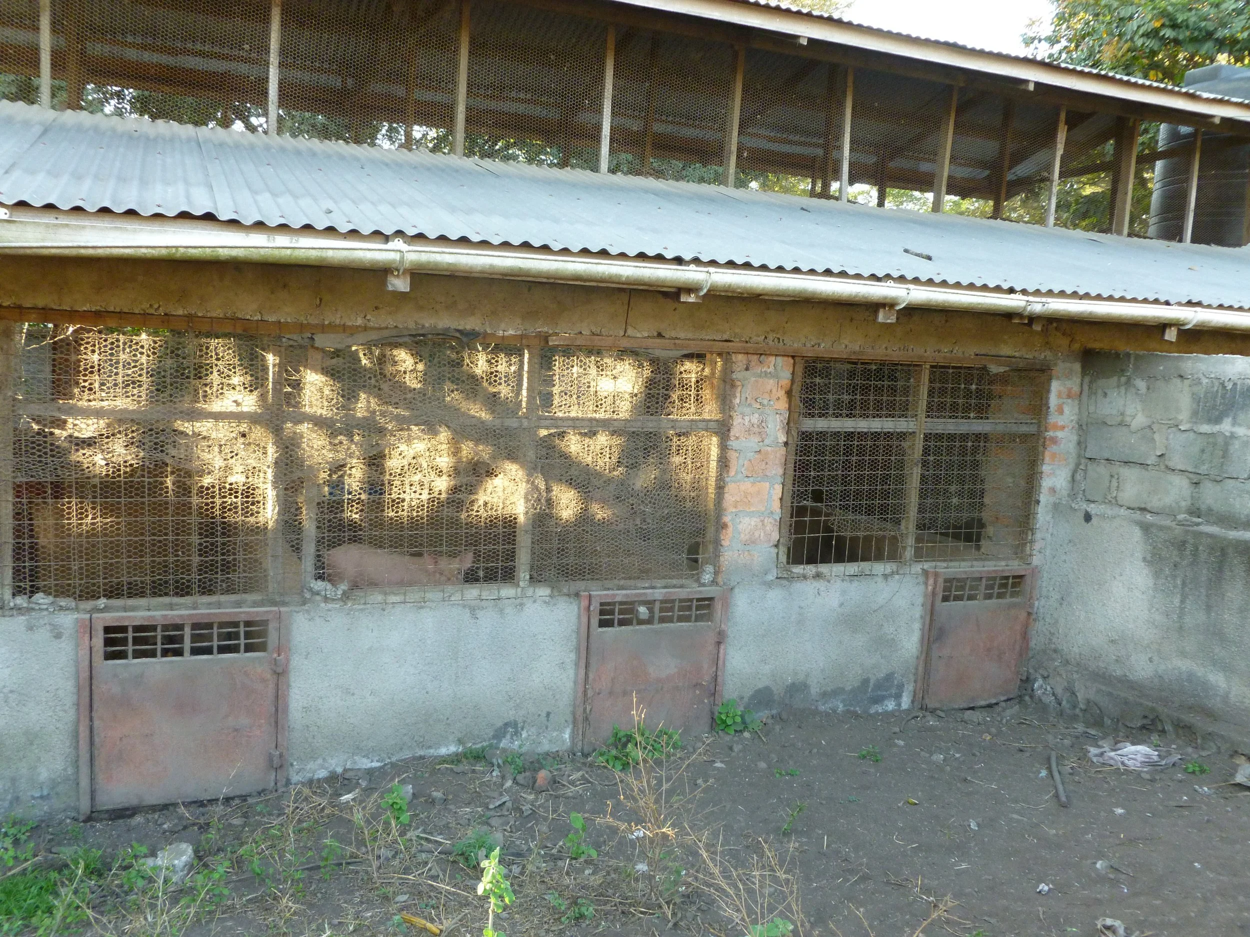 P1020492.JPG