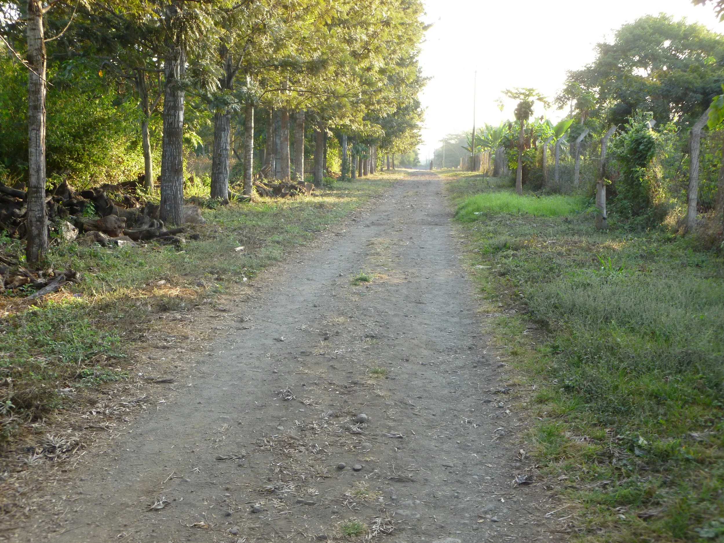P1020556.JPG