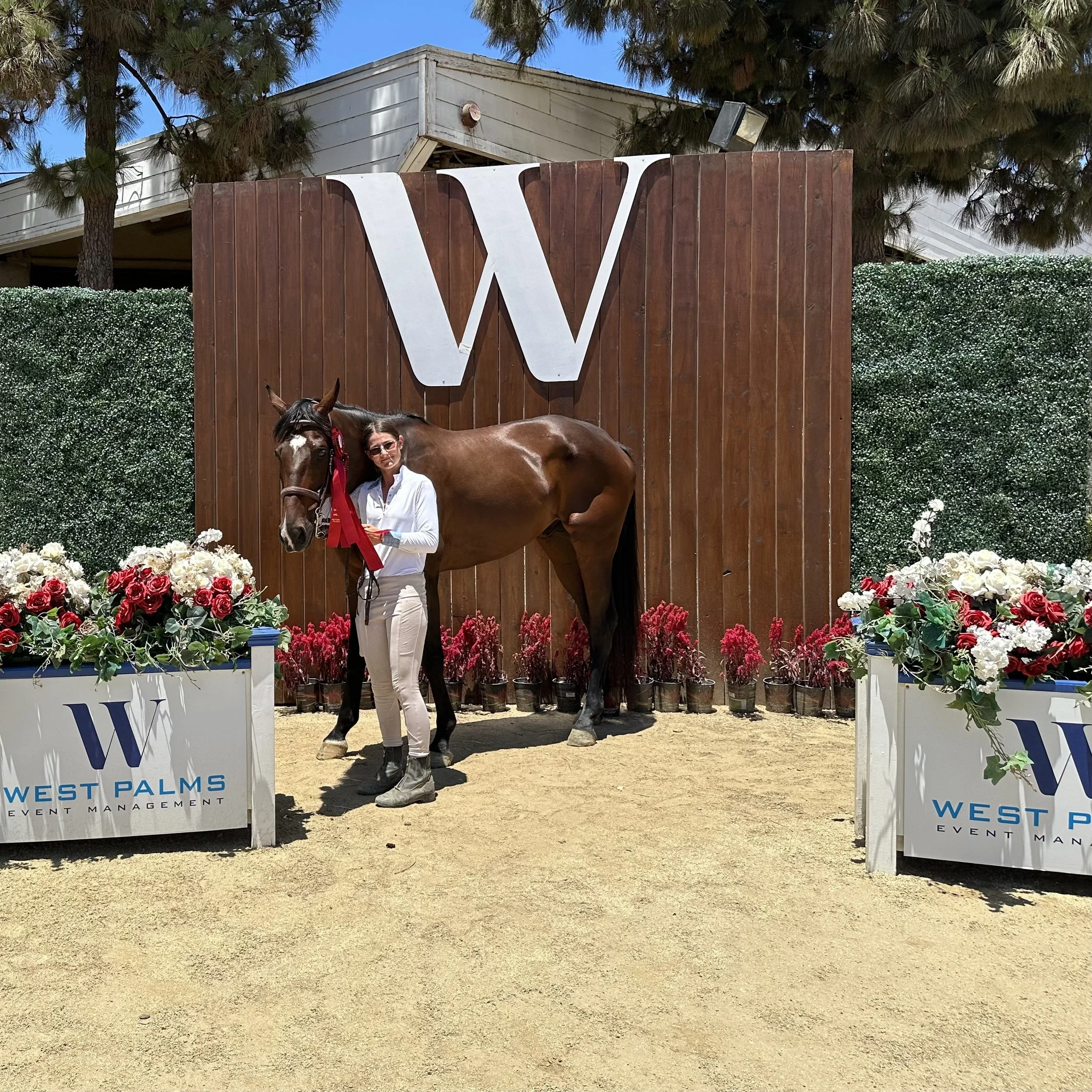 A person with dark hair, glasses, and a white shirt standing next to a brown horse with a red ribbon on its halter, in front of a large wooden fence with an oversized white letter W, with flowers and potted plants at the base, and a sign that reads 'West Palm Event Management' on the left side.