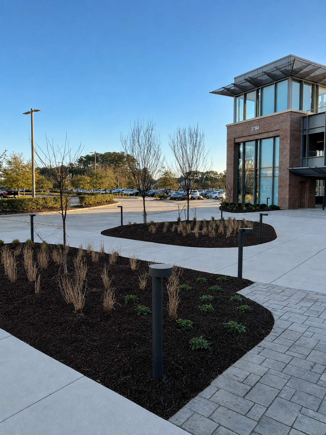 Modern commercial building with glass windows and brick facade, well-maintained landscaping with small trees, ornamental grass, and shrubs, parking lot in background, clear blue sky.