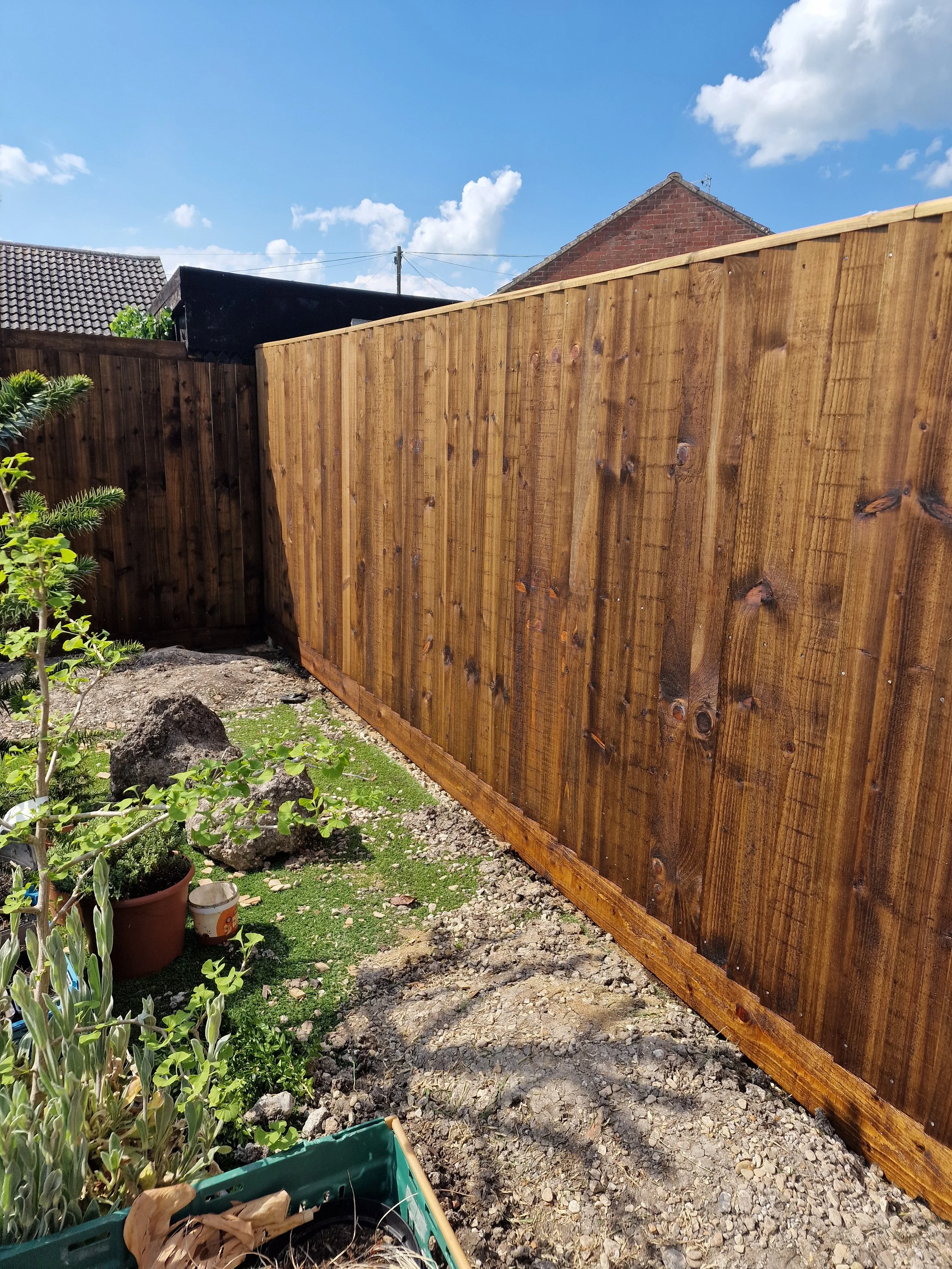 A newly built wooden fence in a backyard, with some plants and gardening supplies, and a blue sky with clouds overhead.
