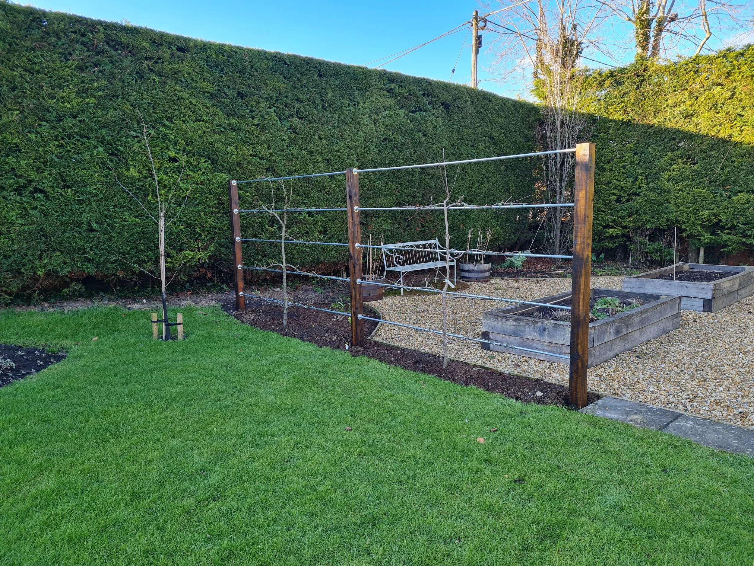 A backyard garden with a large green hedge, a wooden garden bed with plants, a metal garden trellis, a small tree, a gravel pathway, and a metal bench, under a clear blue sky.