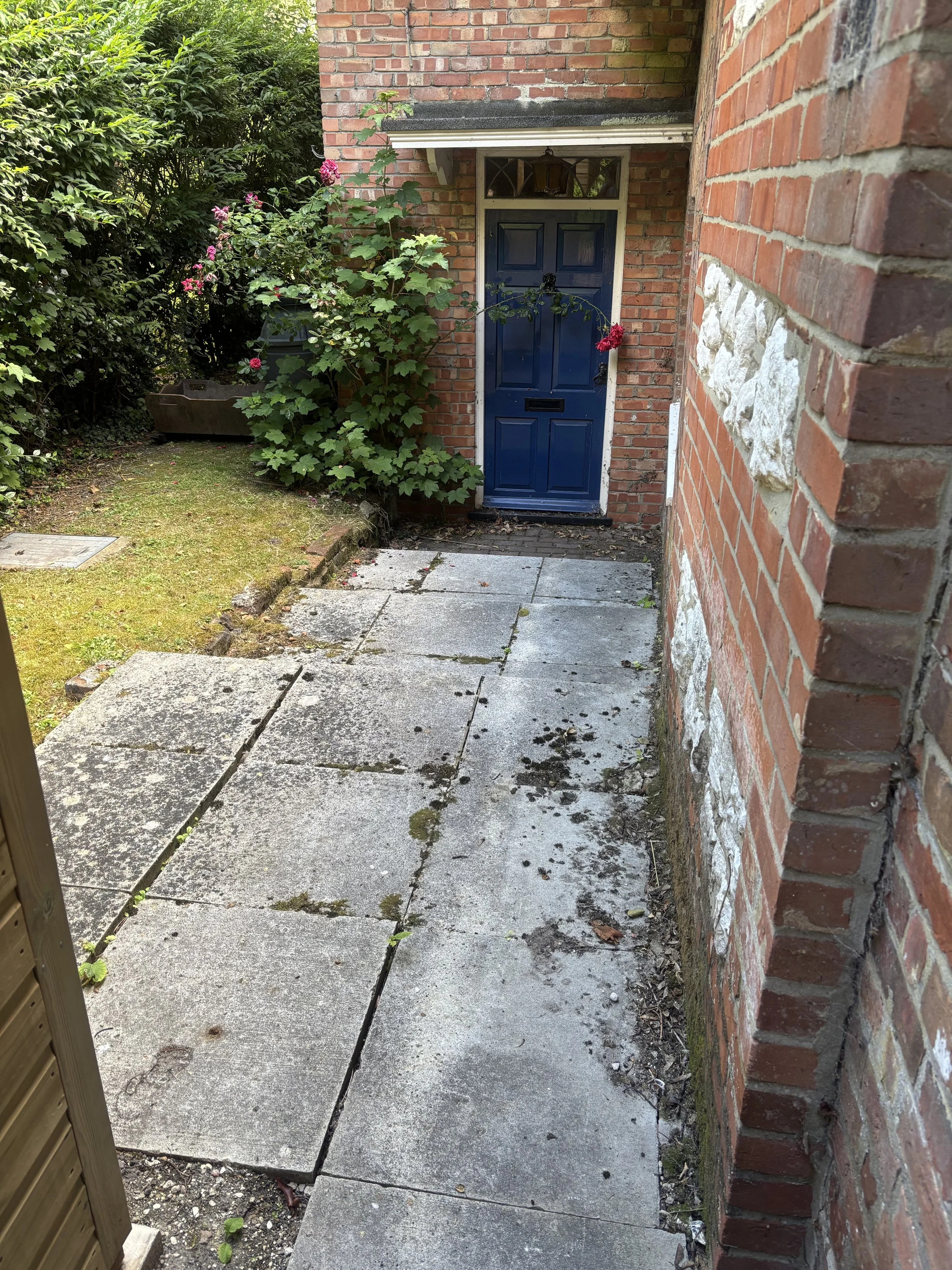 A small outdoor area with a brick wall, a blue front door, and a pathway with concrete slabs. There are green bushes with pink flowers on the left side.
