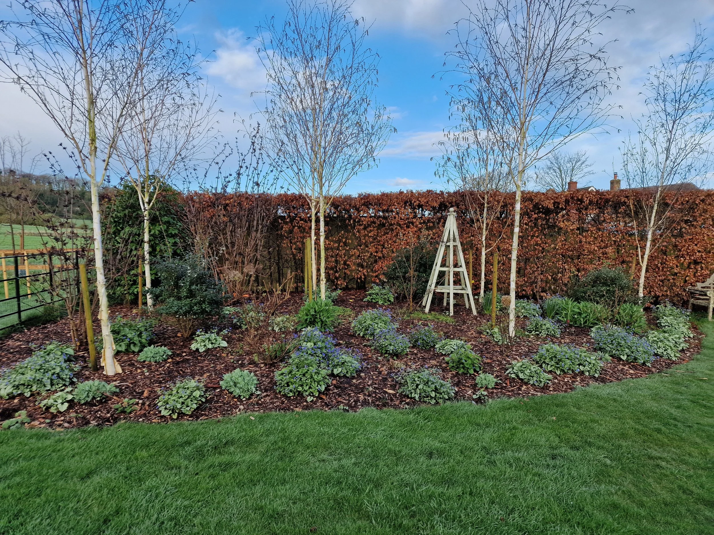 A backyard garden with three leafless trees, a hedge with brown leaves, and green grass in the foreground. A wooden garden structure is seen among the trees, and houses are visible in the background under a partly cloudy sky.