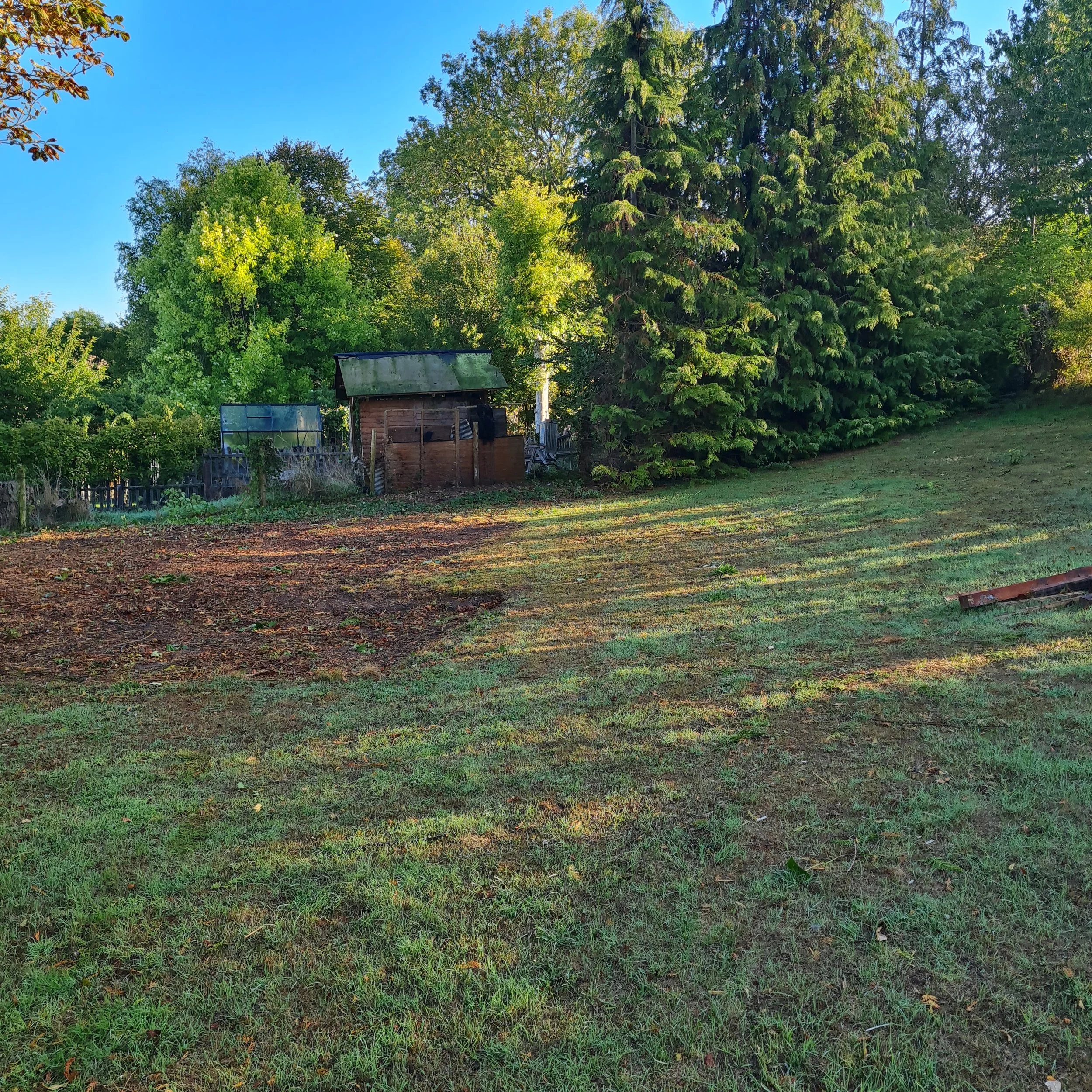 A backyard scene with green grass, trees, and a small wooden shed. The sky is blue and clear.