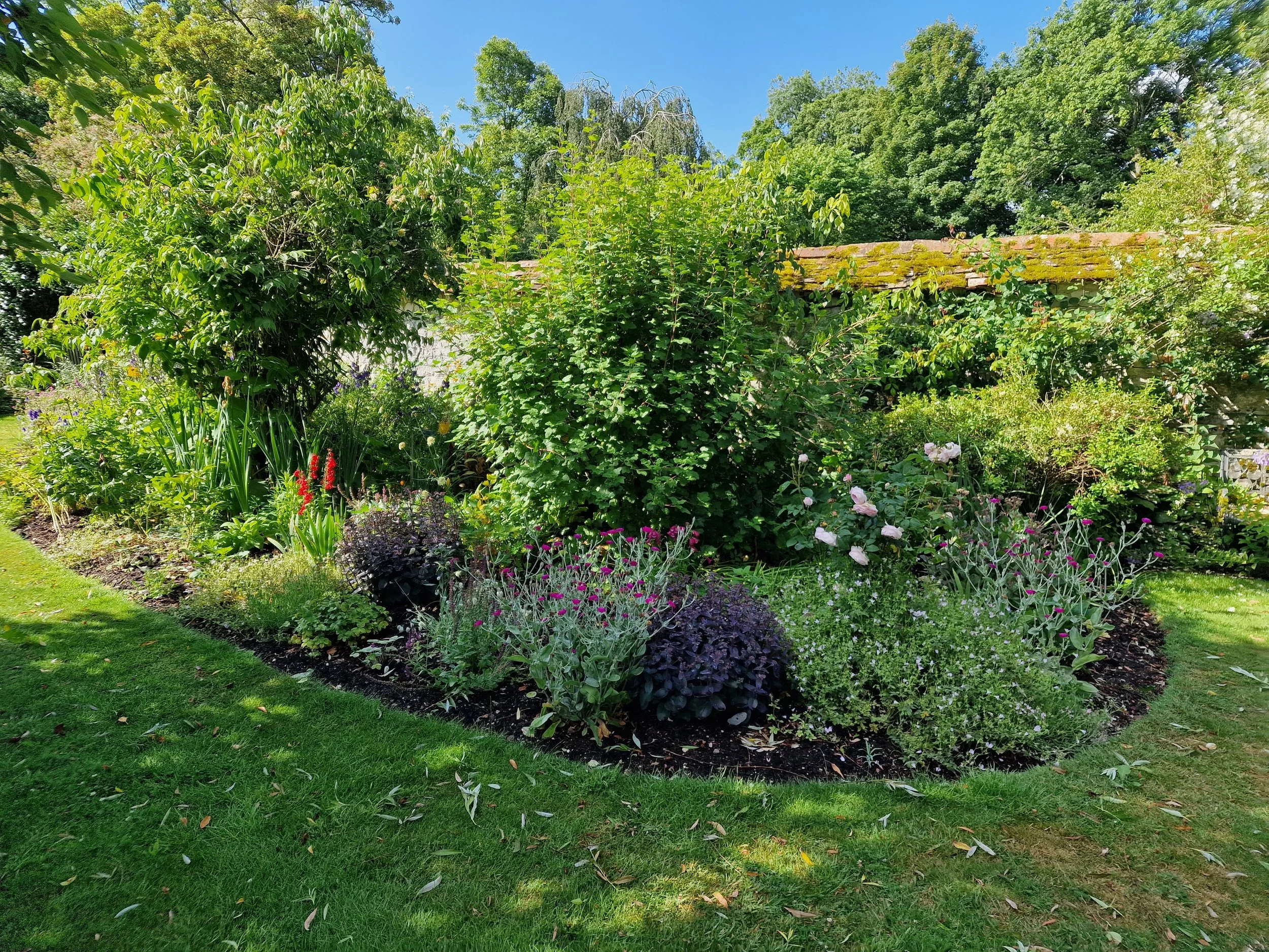 A lush garden with various green plants, bushes, and trees under a clear blue sky. A brick wall with moss on top and a well-manicured grass lawn in the foreground.