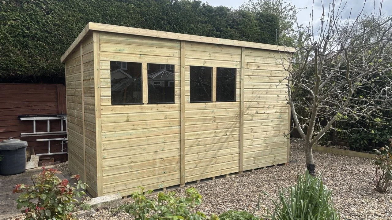 A newly built wooden shed in a backyard with a windowed front and a sloped roof, surrounded by garden plants and trees.