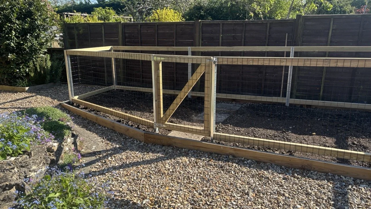 A garden with a newly built wooden and wire fence surrounded by rocks, with a gate and a dark wooden fence in the background, and some flowering plants to the left.