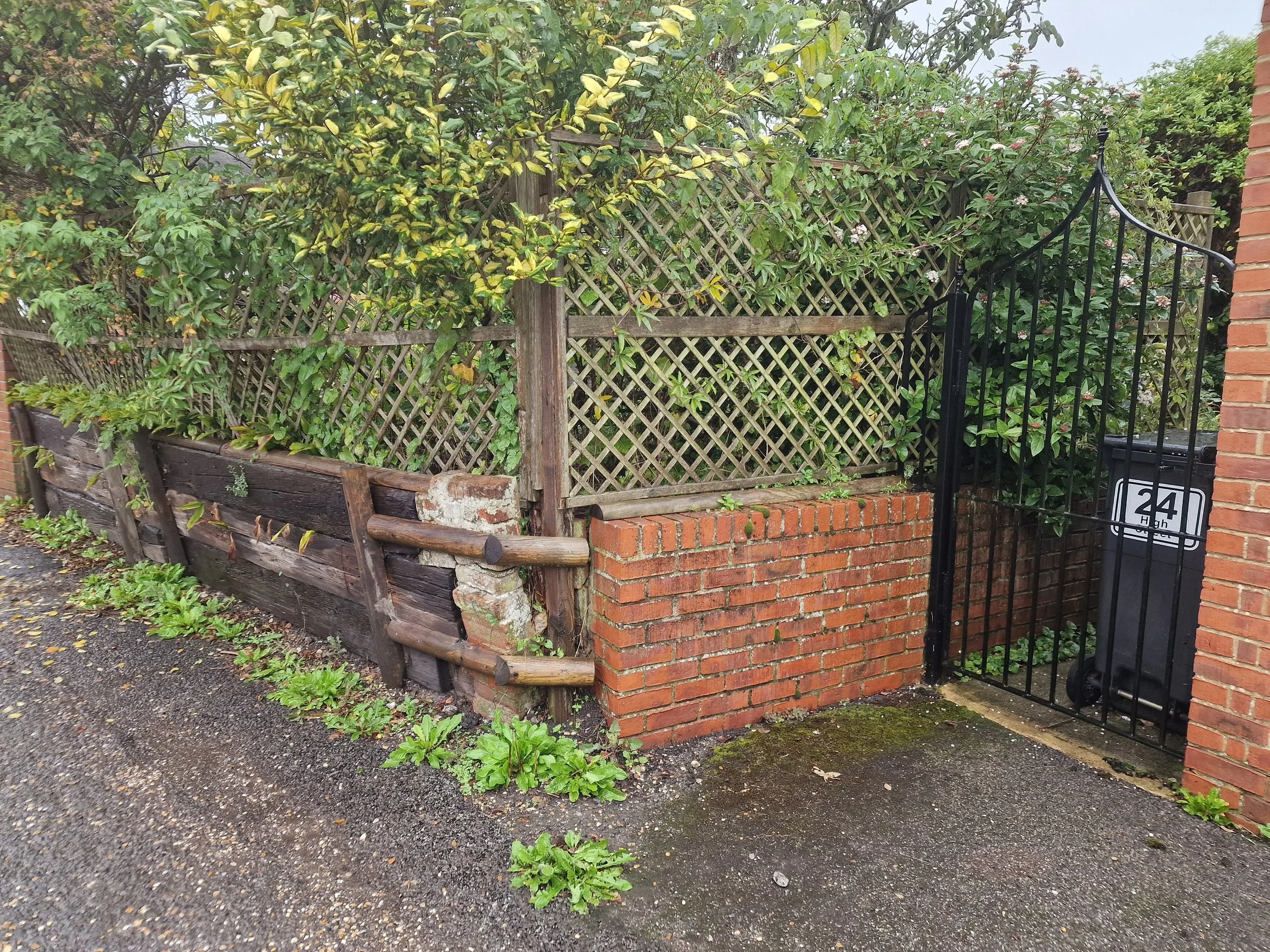 A garden with various green plants and shrubs next to a brick wall and a black metal gate. The ground is covered with small dark gravel and some weeds are growing around the plants.