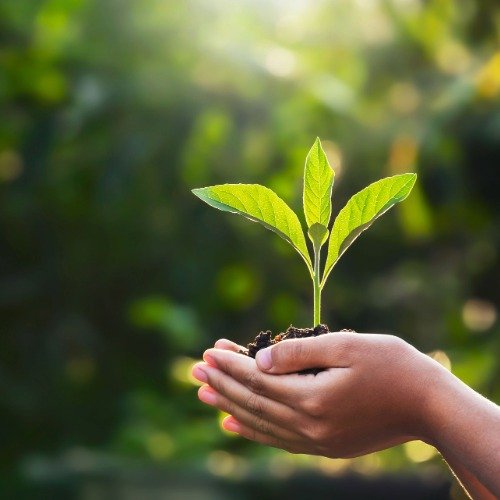 What does it mean to flourish as a human being?