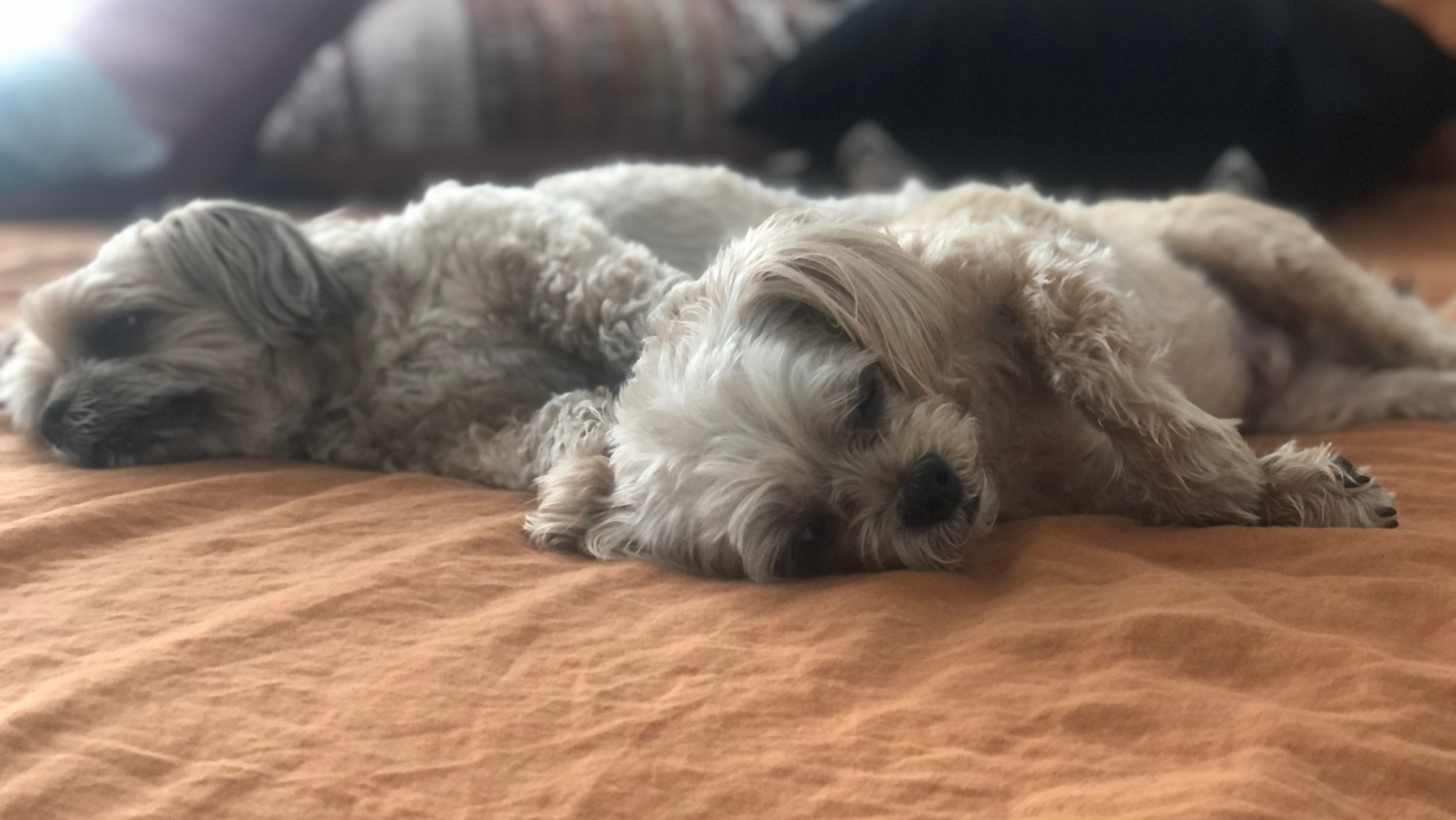 Let us rest.