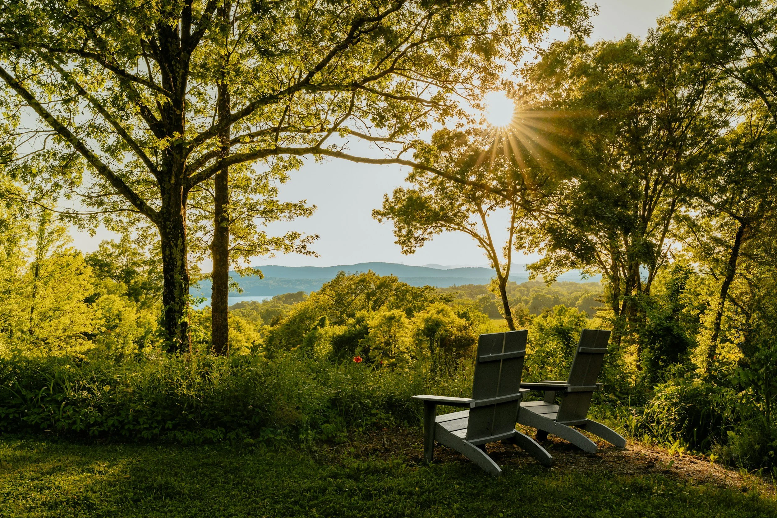 Sunlit outdoor scene with tall trees and green foliage, two Adirondack chairs facing a view of rolling hills and a lake, during daytime.