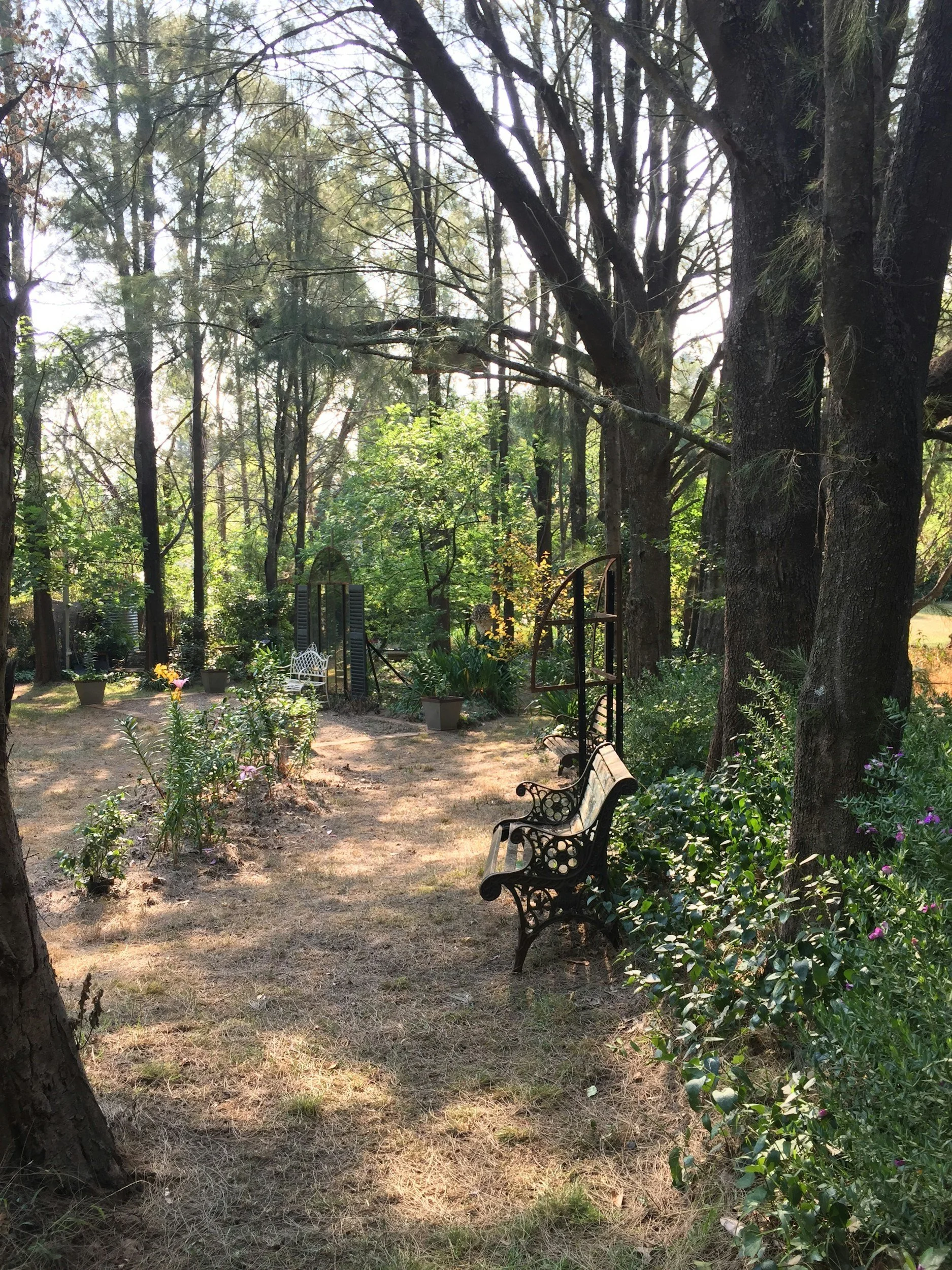 A backyard garden with trees, shrubs, and potted plants. There are two black metal benches, one in the foreground and one further back. A garden archway is visible in the background surrounded by greenery. The light filters through the trees, creating a peaceful atmosphere.