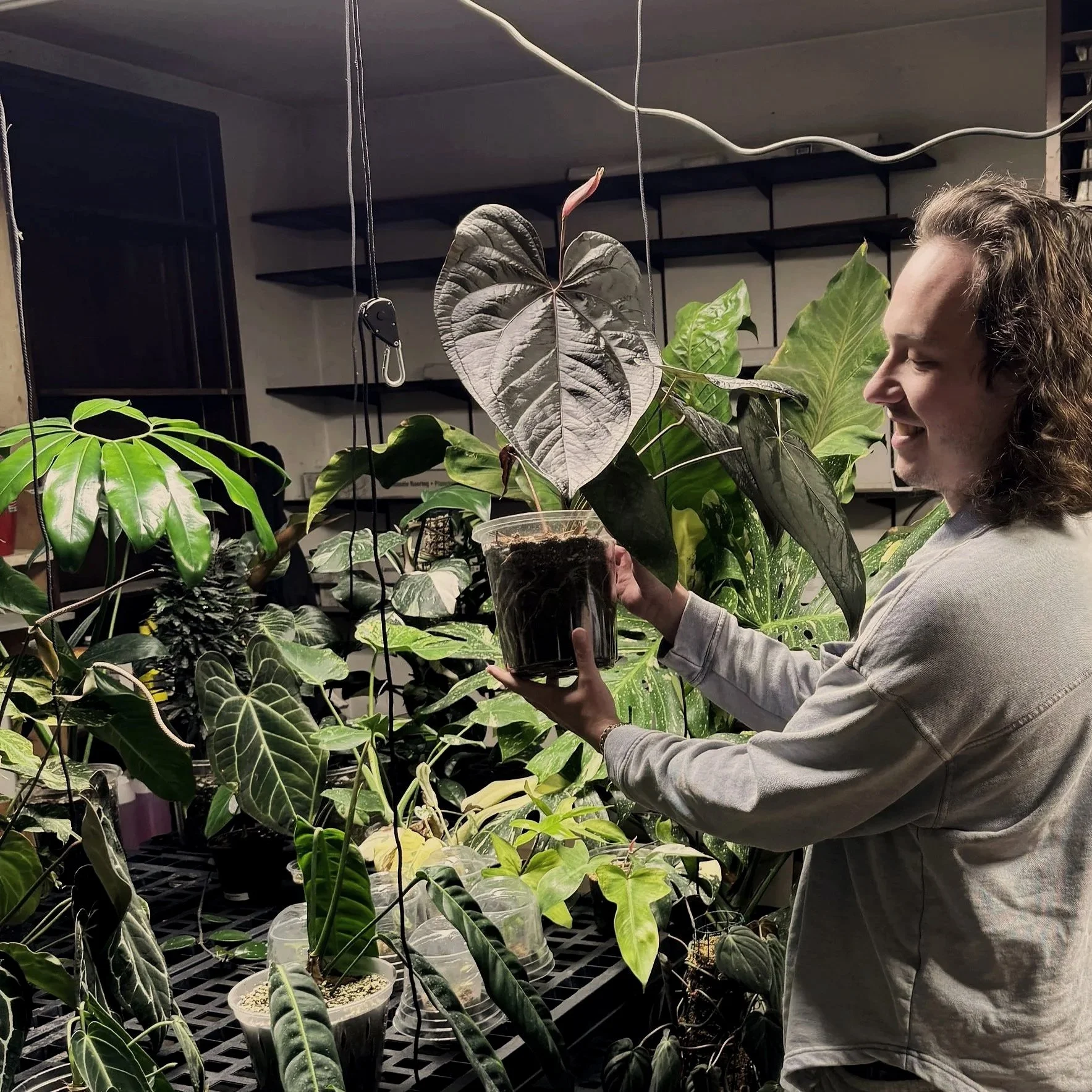 A man with long, curly hair smiling while holding a potted plant in a greenhouse or plant nursery surrounded by various green plants and leaves.